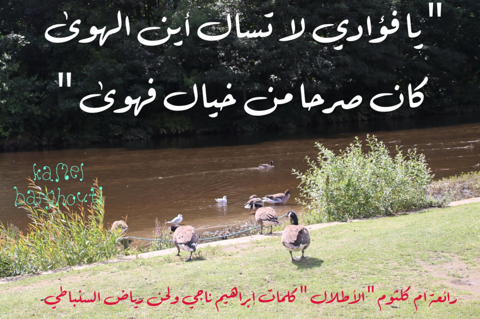 حب وحنين – اقتباس 614