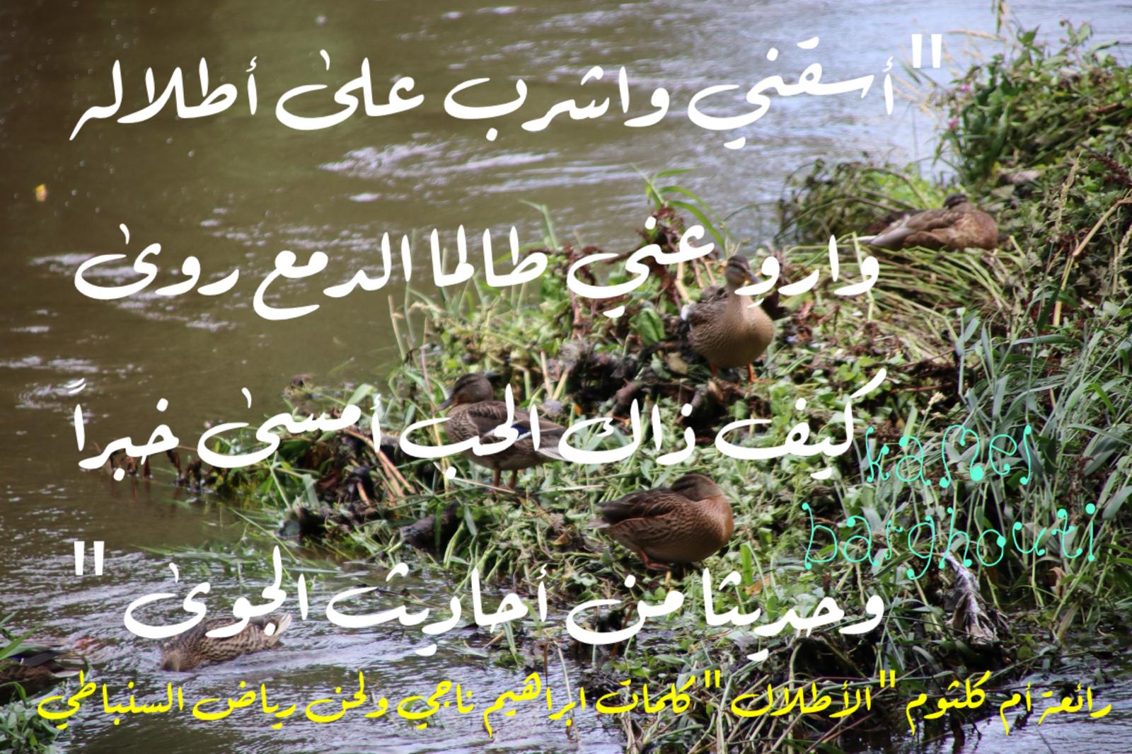 حب وحنين – اقتباس 615