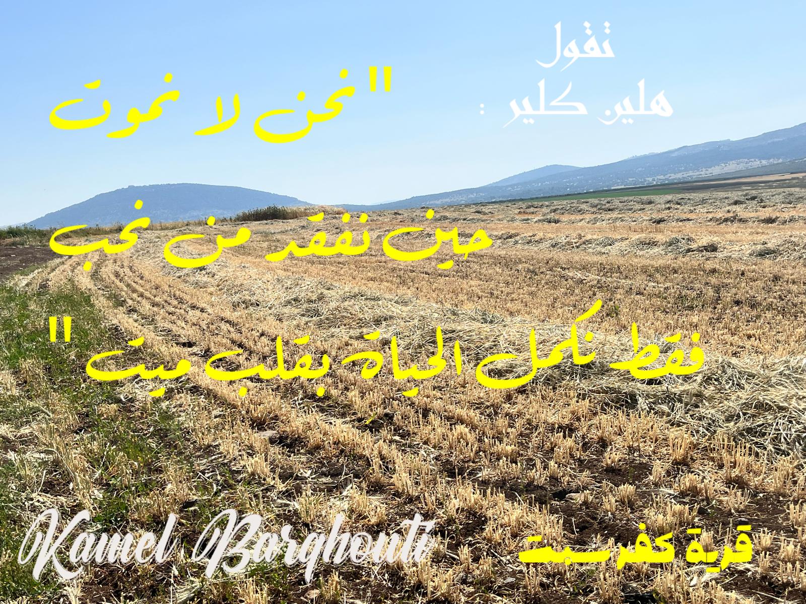 حب وحنين – اقتباس 589