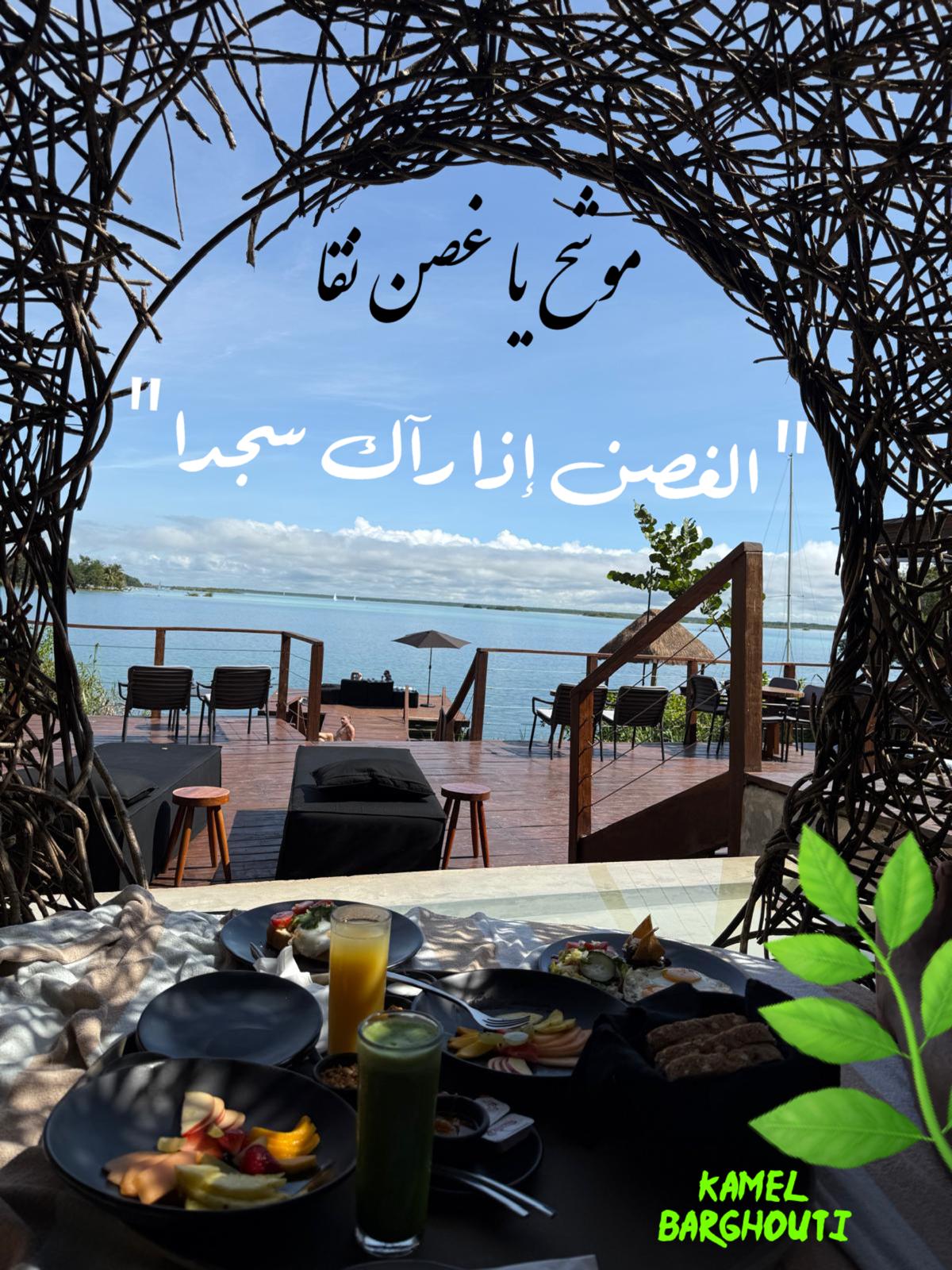 حب وحنين – اقتباس 592