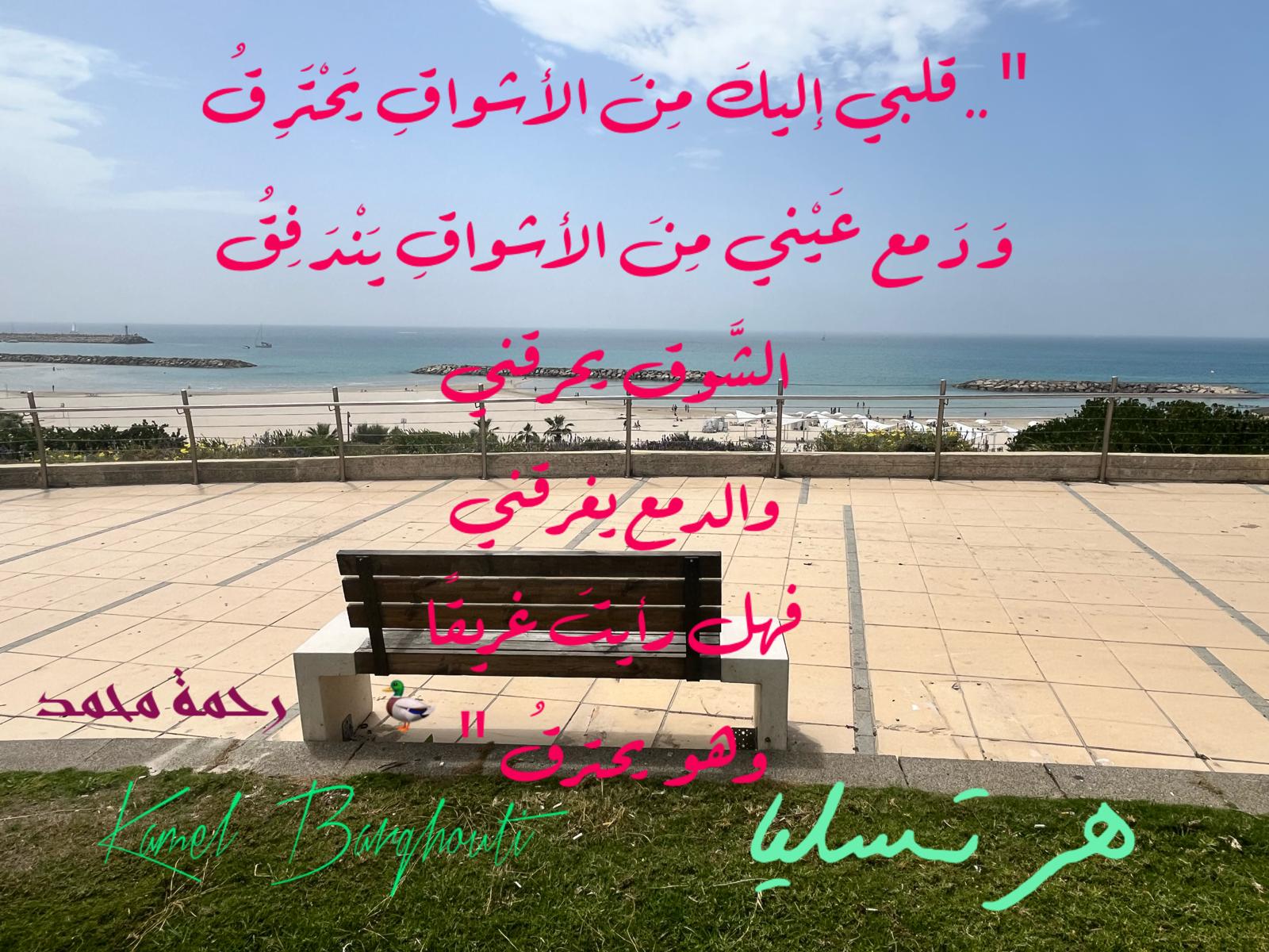 حب وحنين – اقتباس 585
