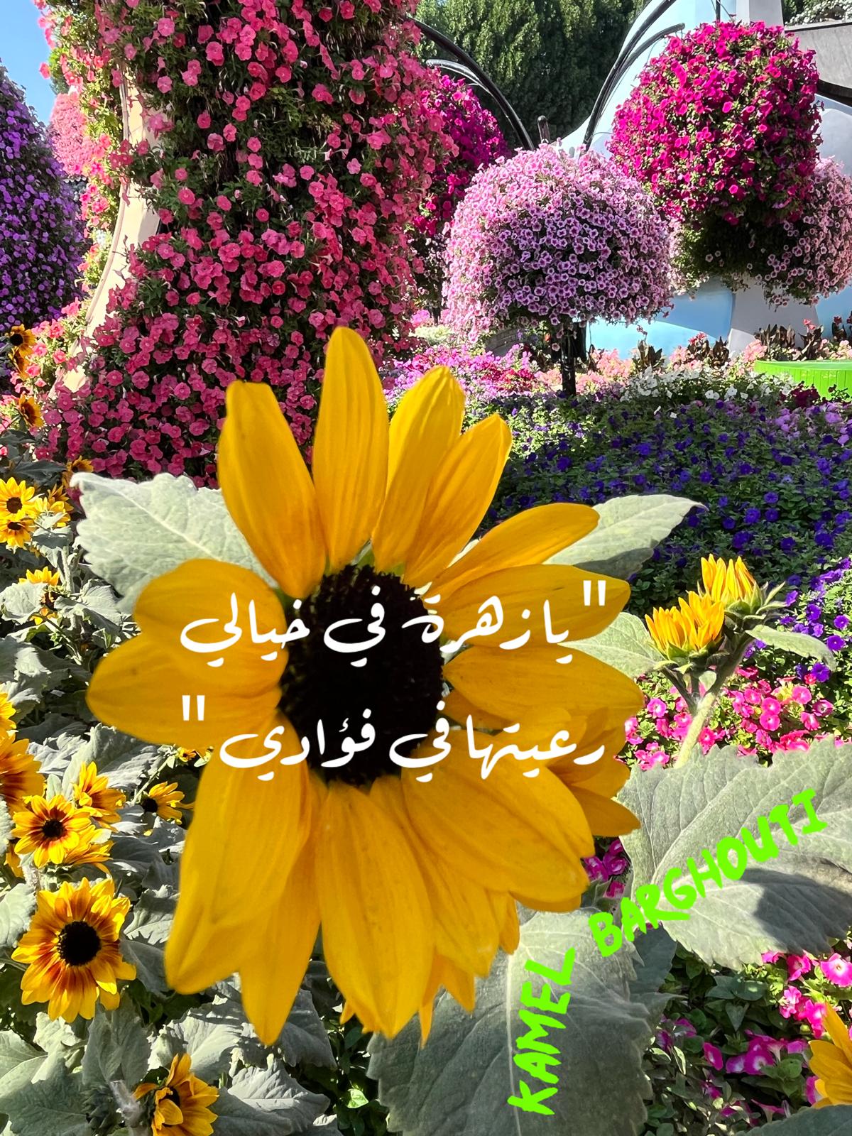حب وحنين – اقتباس 594