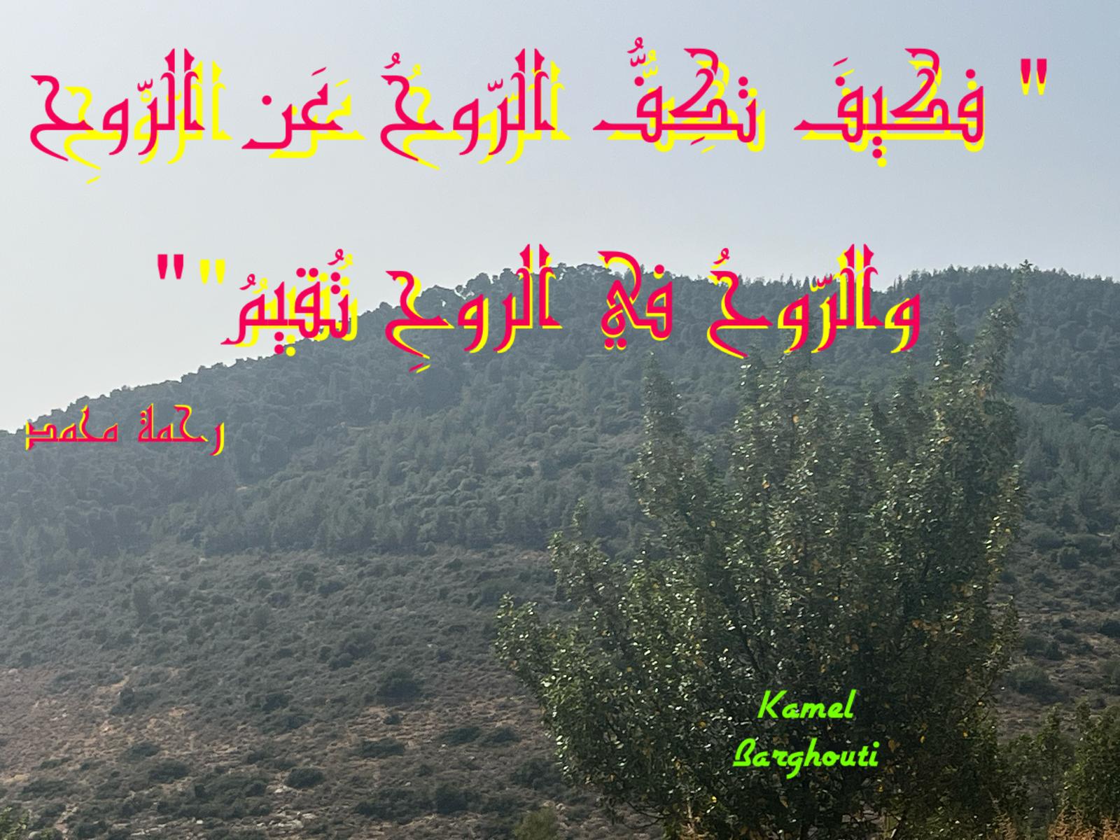 حب وحنين – اقتباس 599