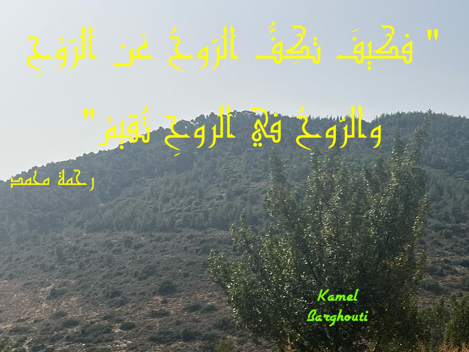 حب وحنين – اقتباس 597