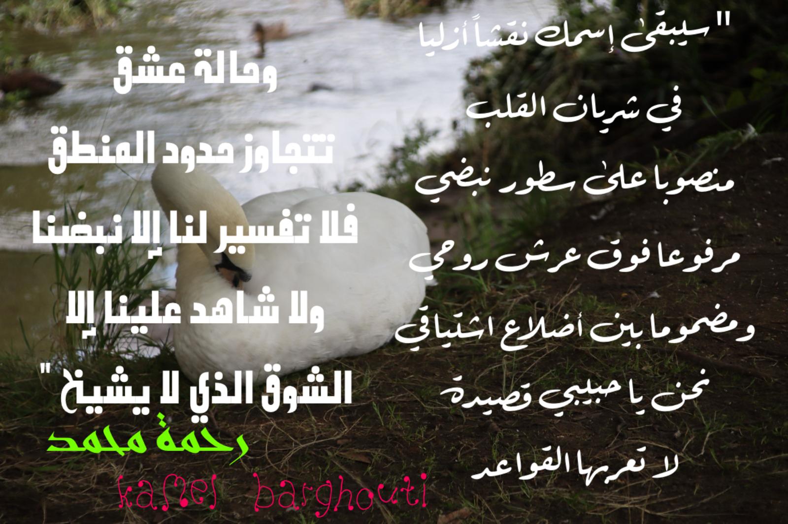 حب وحنين – اقتباس 590
