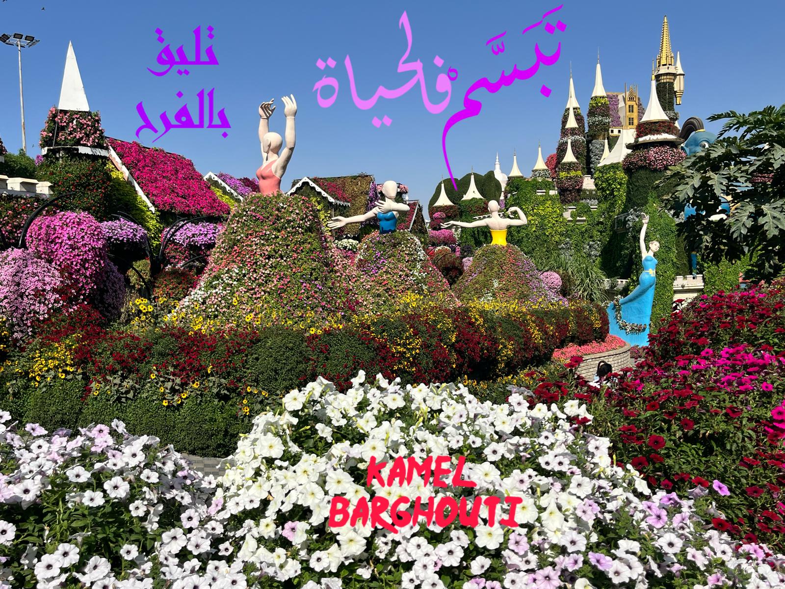 تفاؤل, أمل, وسعادة – اقتباس 409