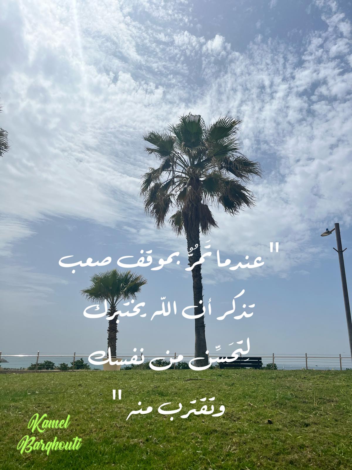 تفاؤل, أمل, وسعادة – اقتباس 388