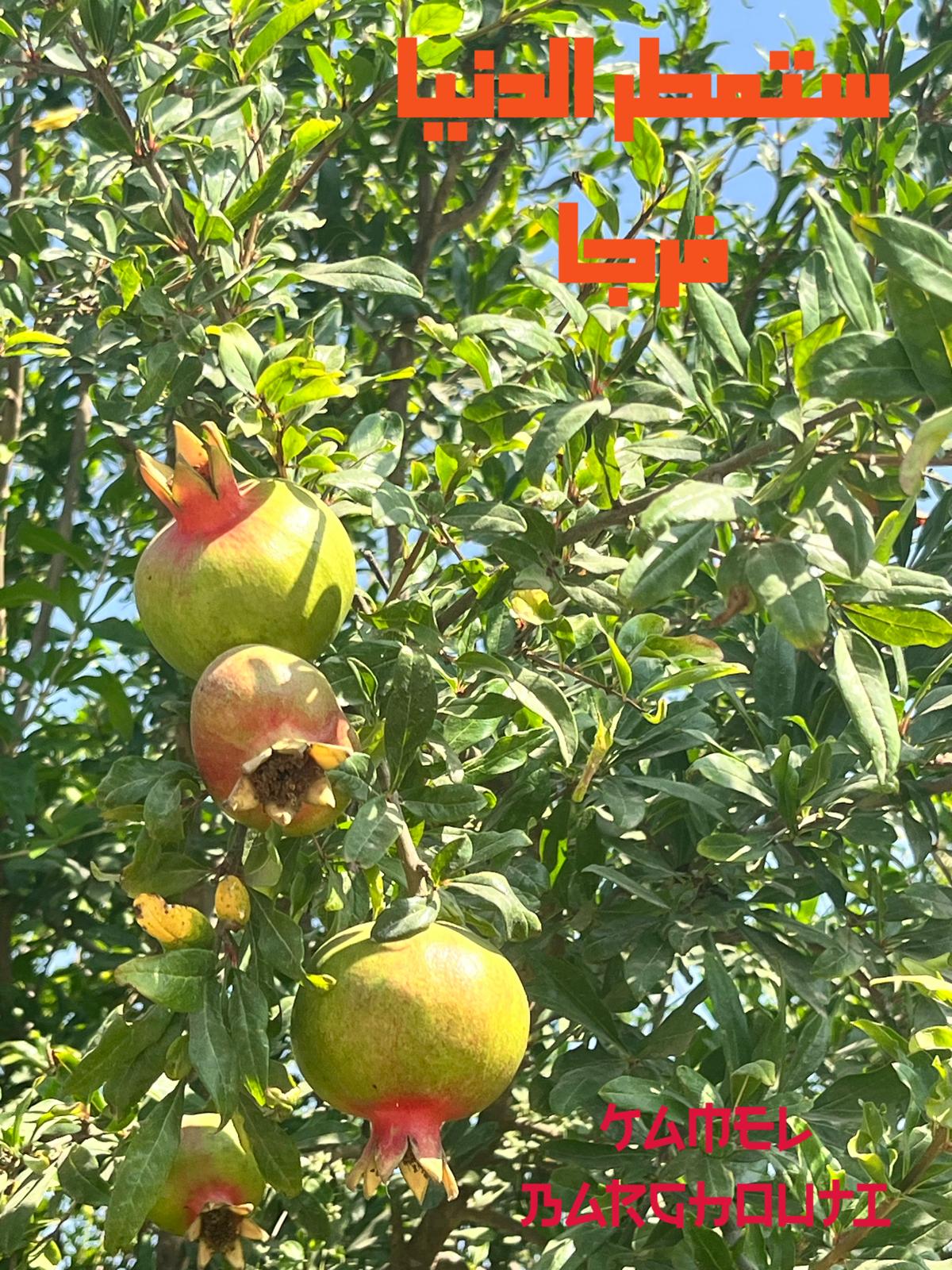 تفاؤل, أمل, وسعادة – اقتباس 389