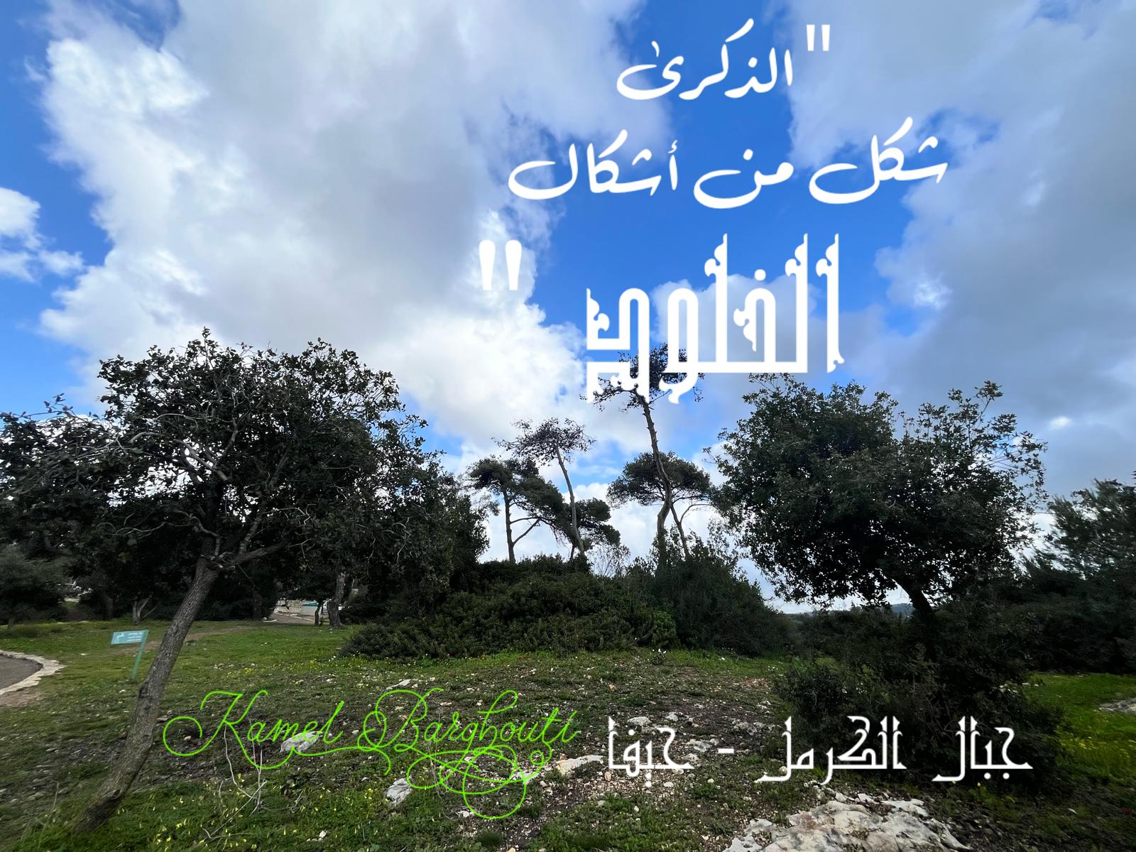 أماكن ولقاءات وأوقات – اقتباس 216