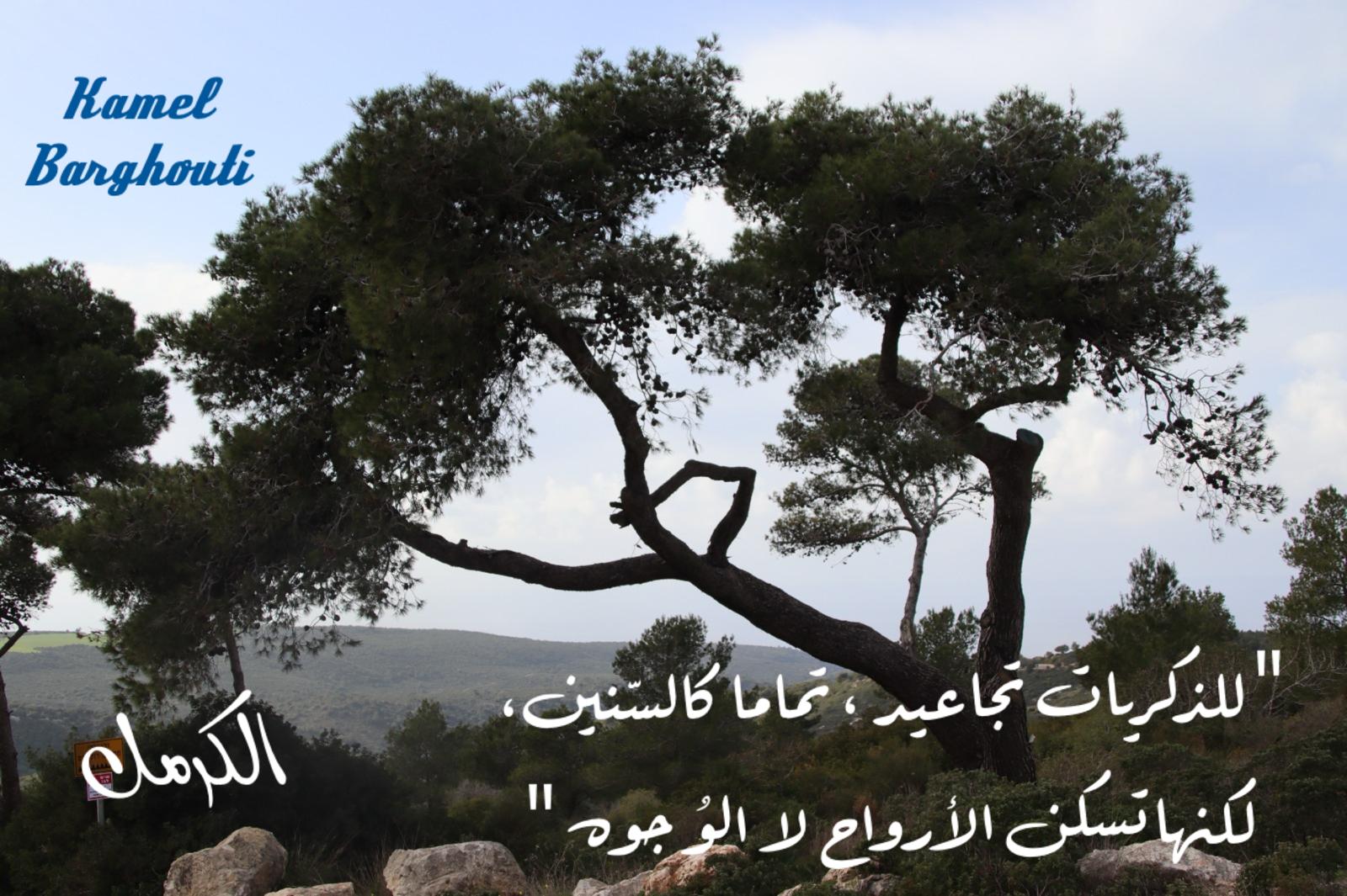 أماكن ولقاءات وأوقات – اقتباس 218