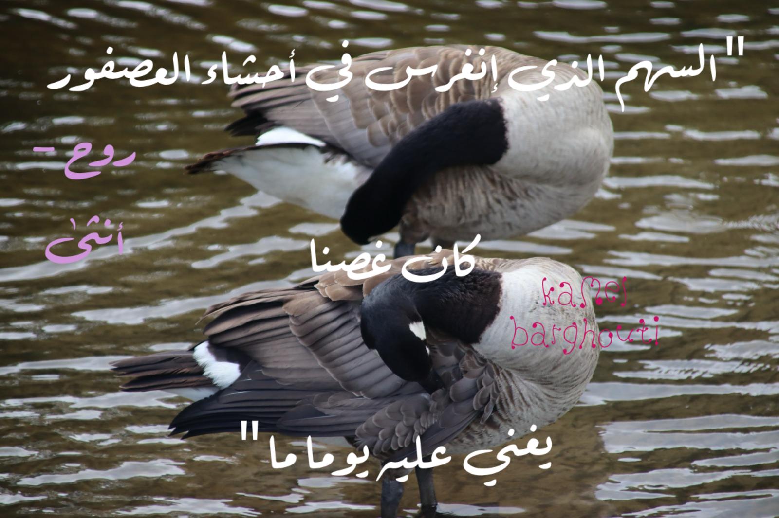 أماكن ولقاءات وأوقات – اقتباس 188