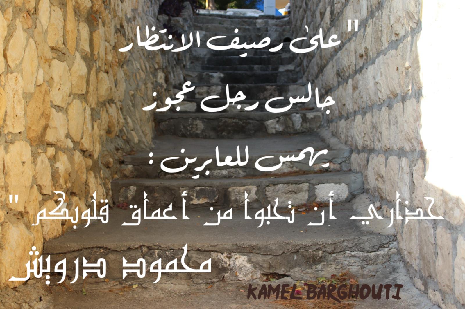حكمة – اقتباس 383