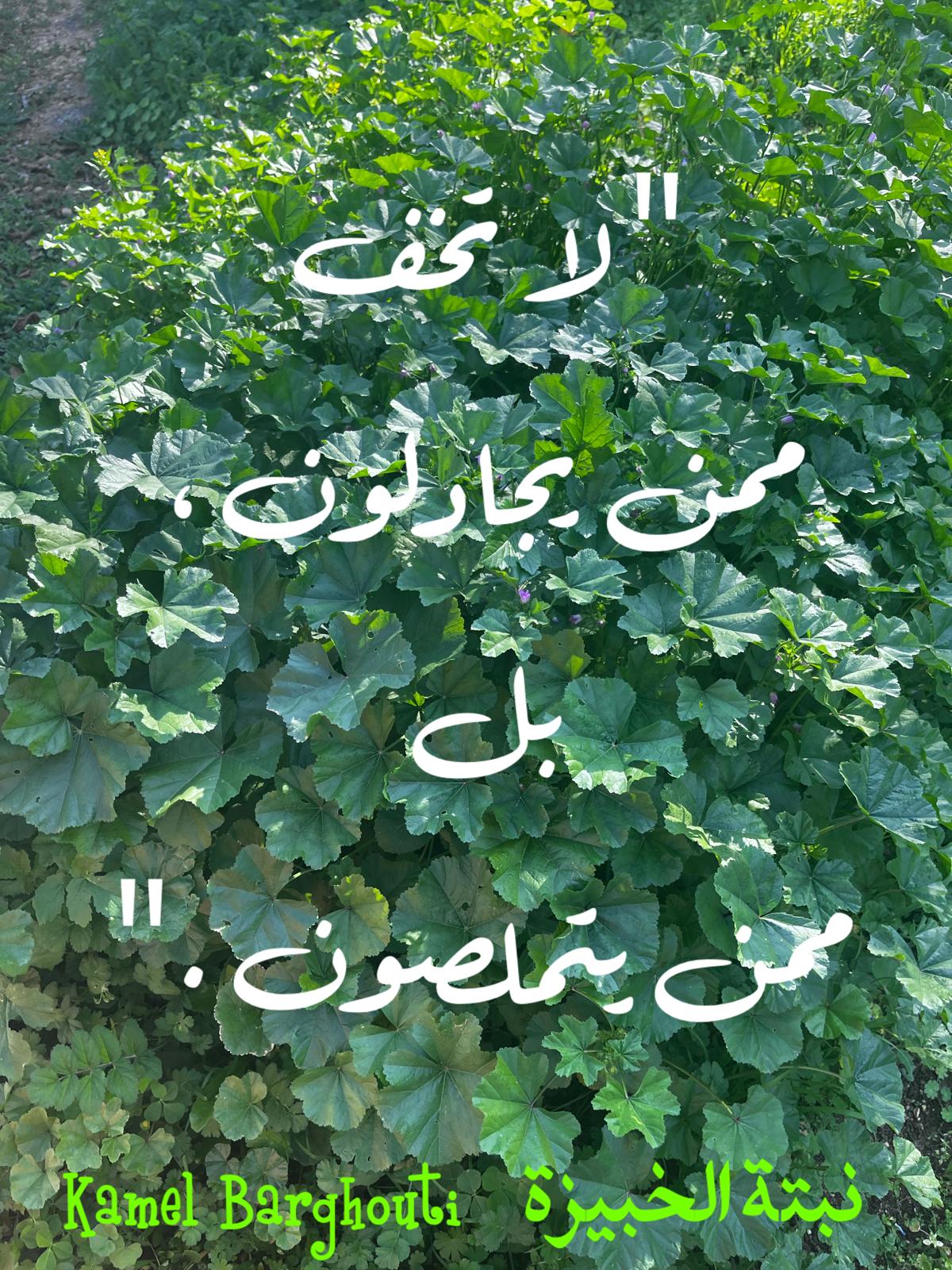 حكمة – اقتباس 386