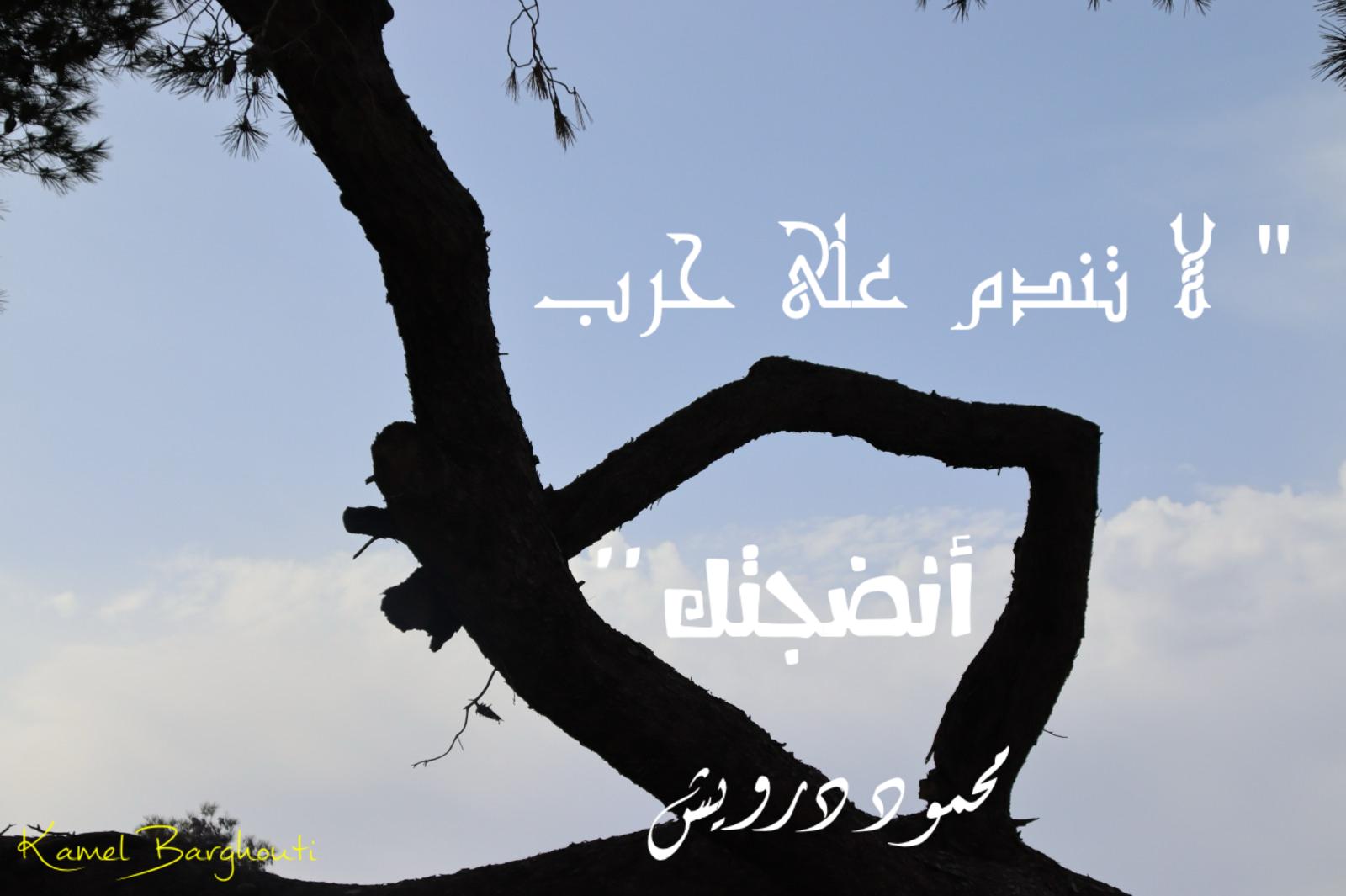 حكمة – اقتباس 384