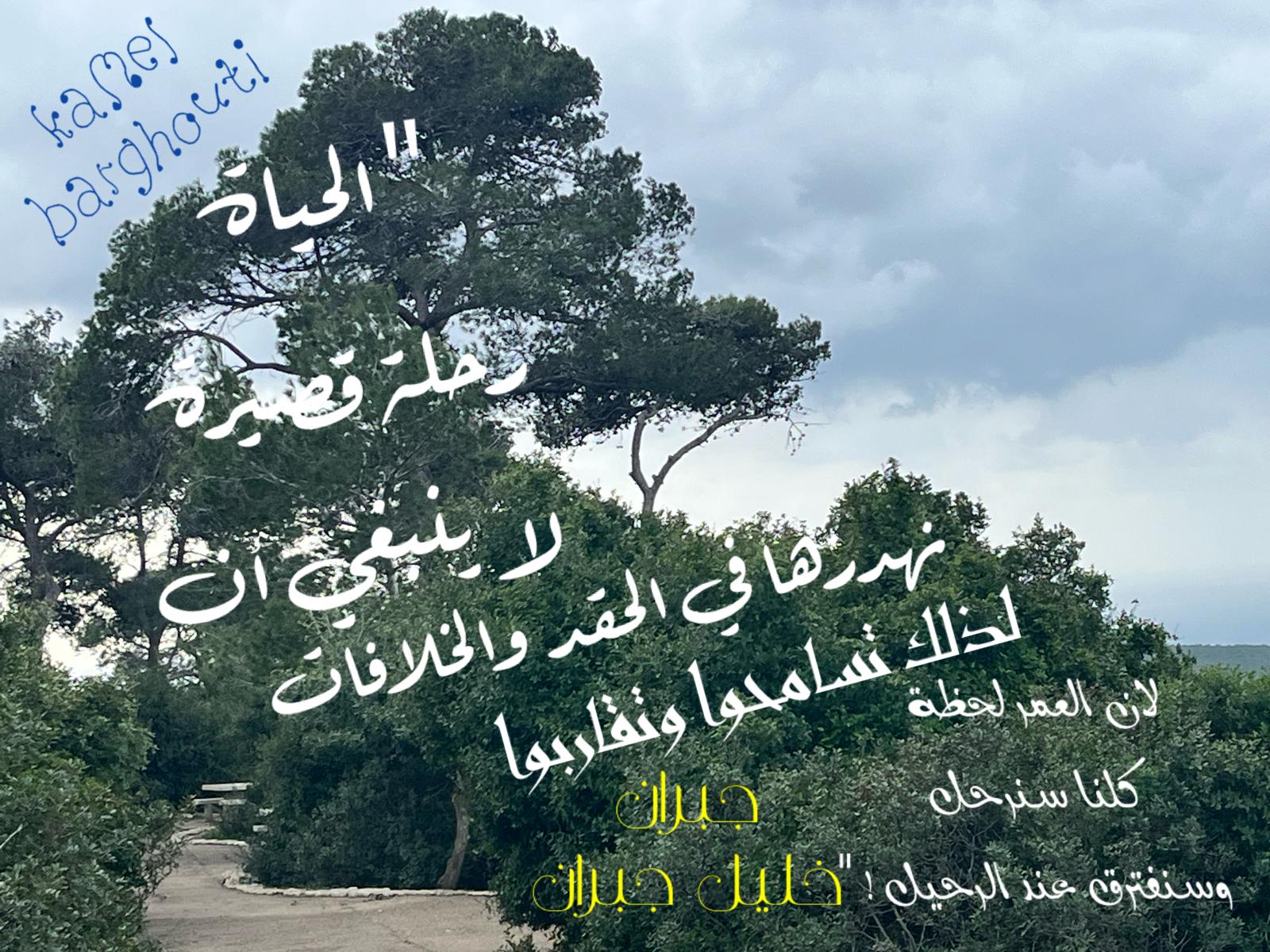 حكمة – اقتباس 389
