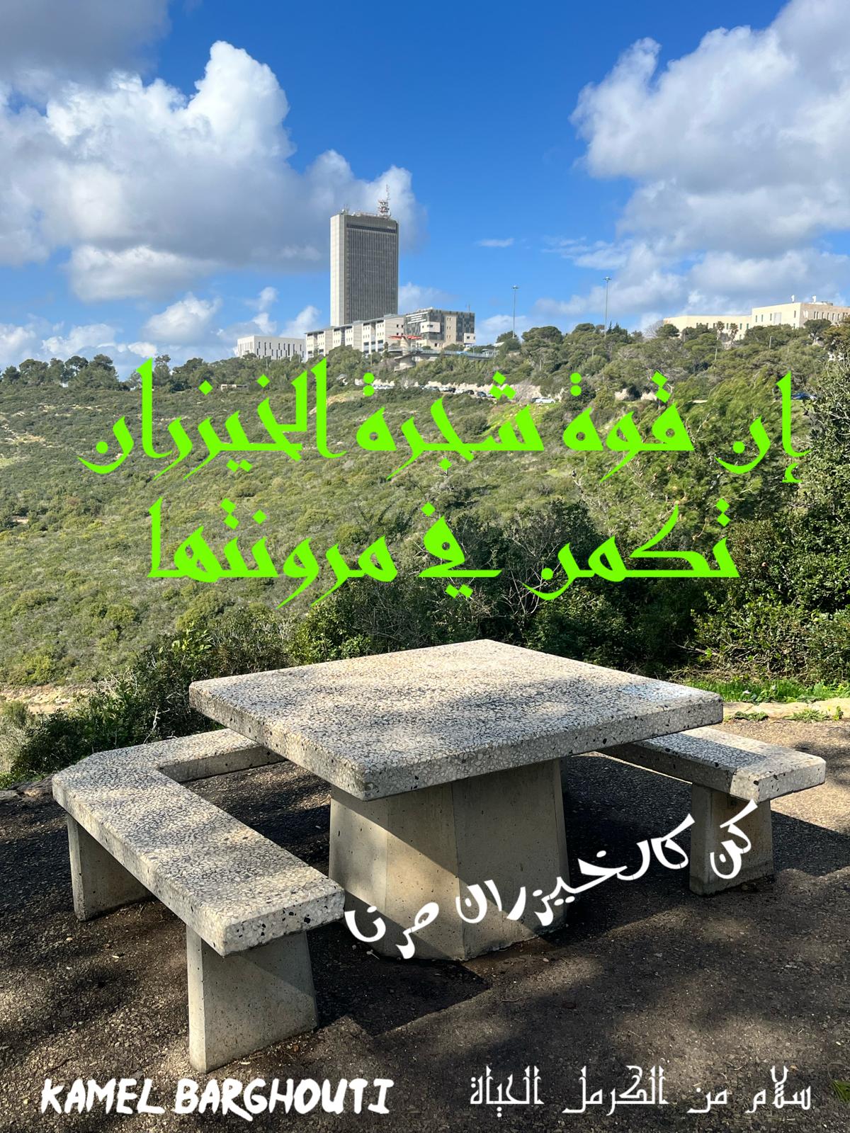 حكمة – اقتباس 390