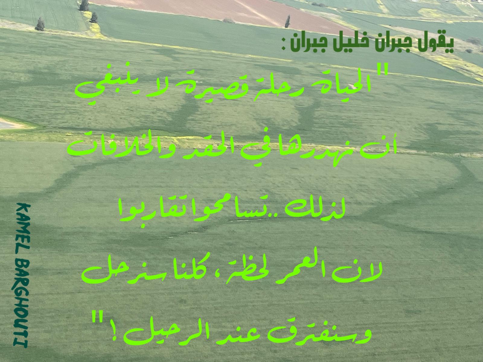 حكمة – اقتباس 392