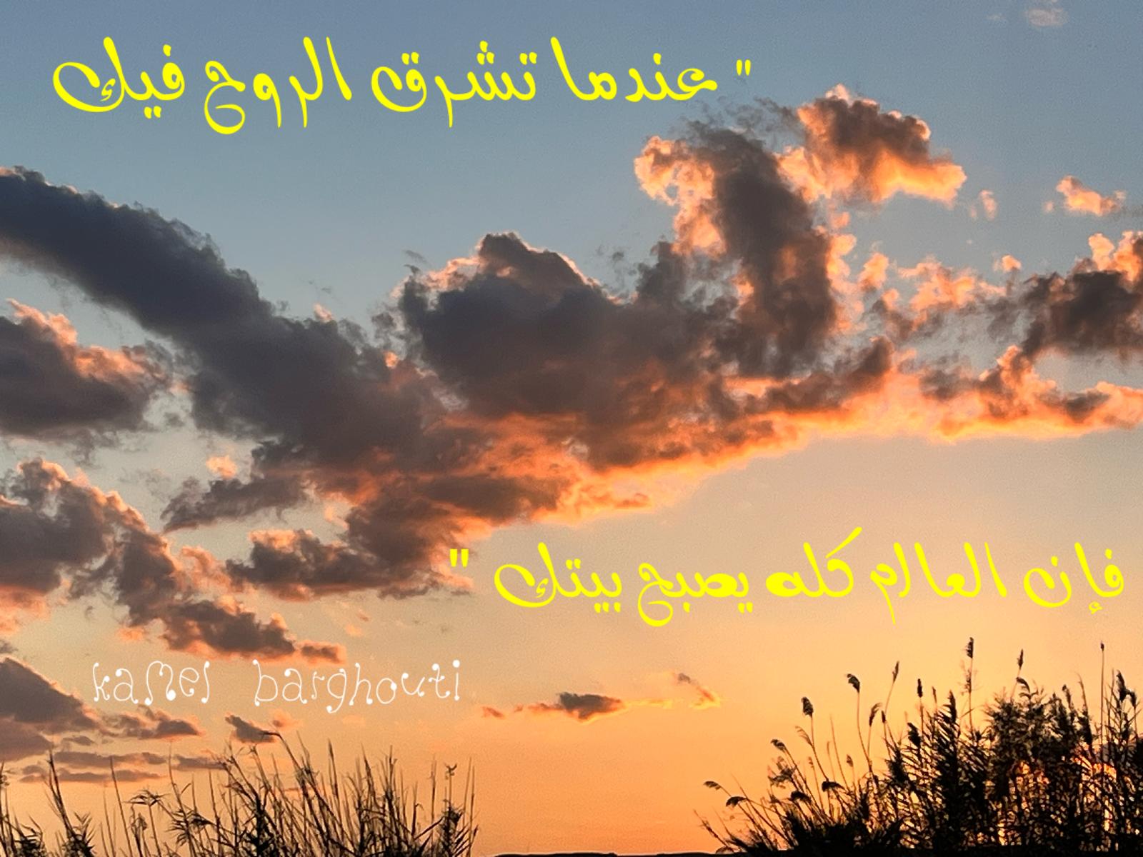 حكمة – اقتباس 359
