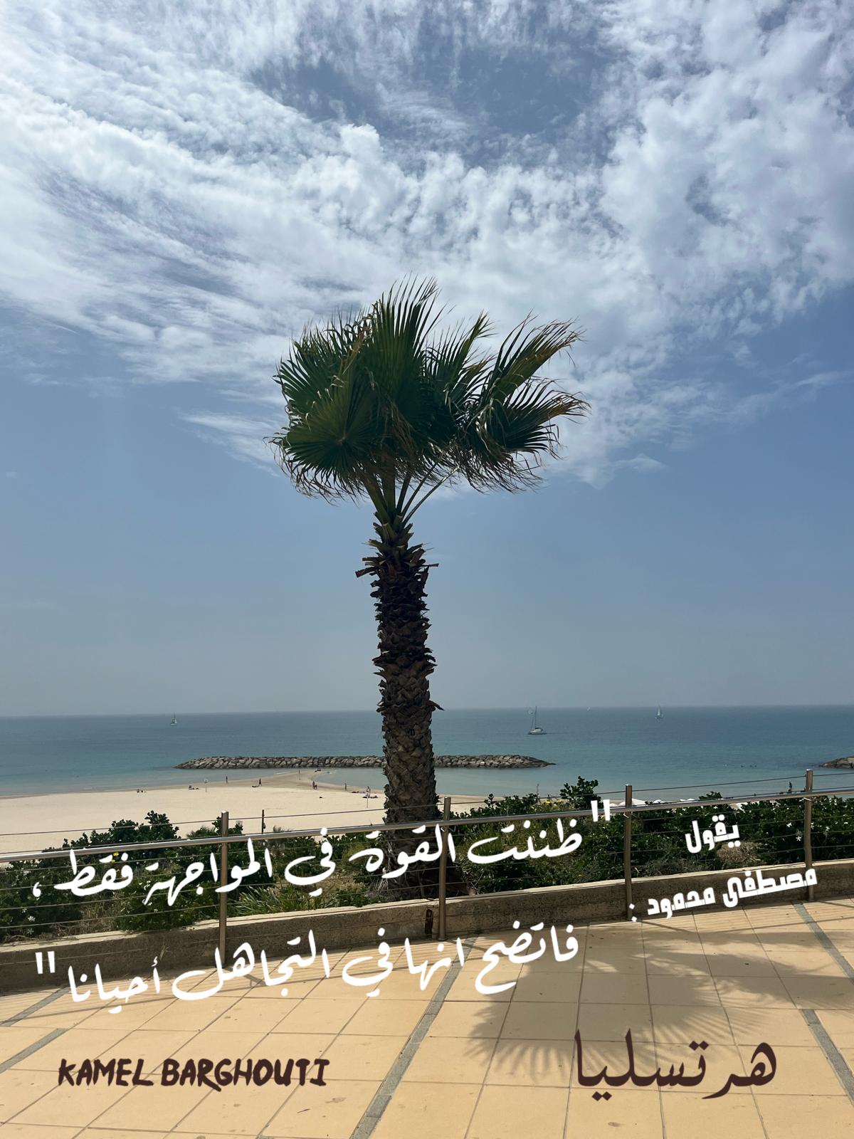 حكمة – اقتباس 349