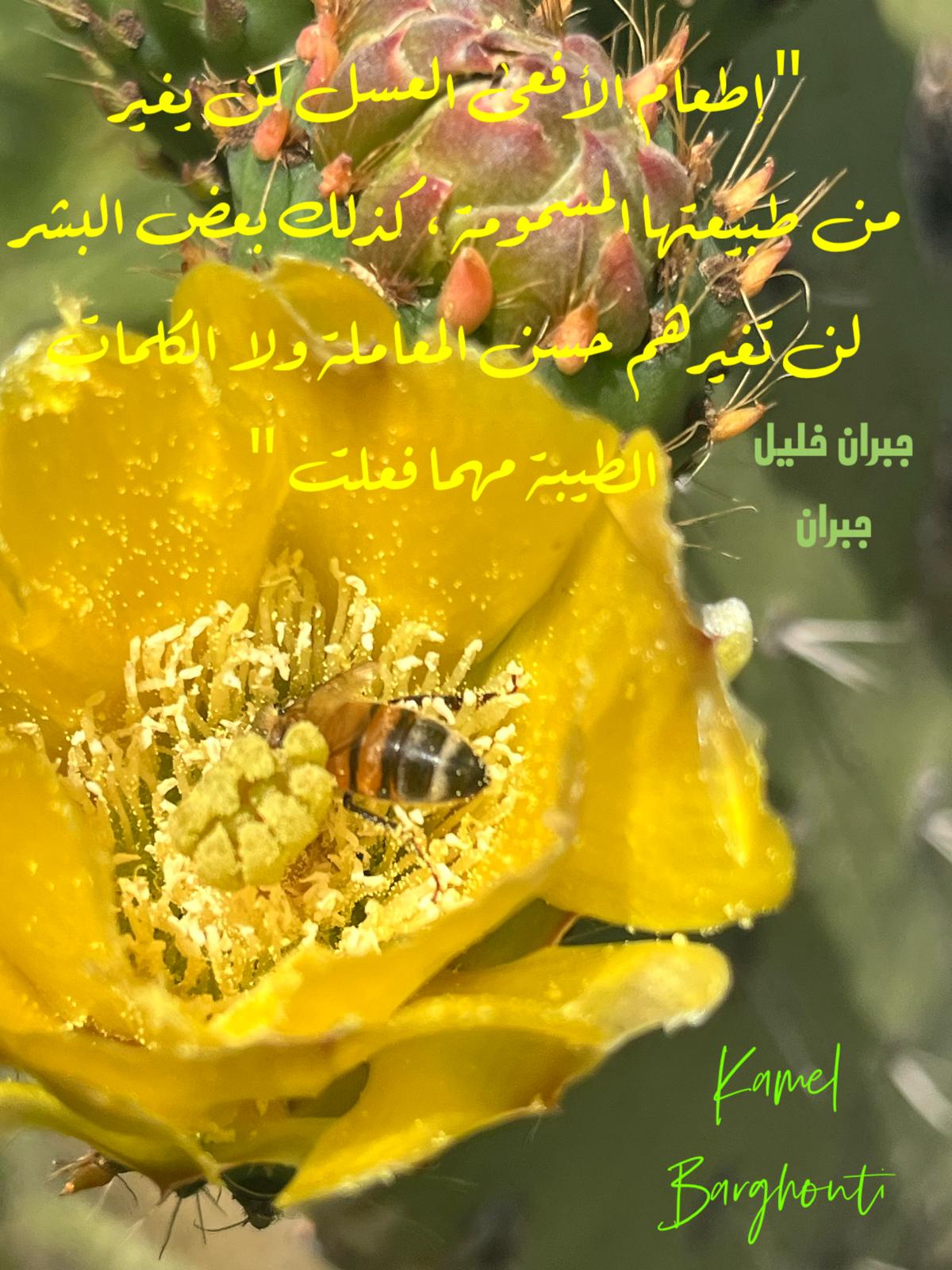 حكمة – اقتباس 348