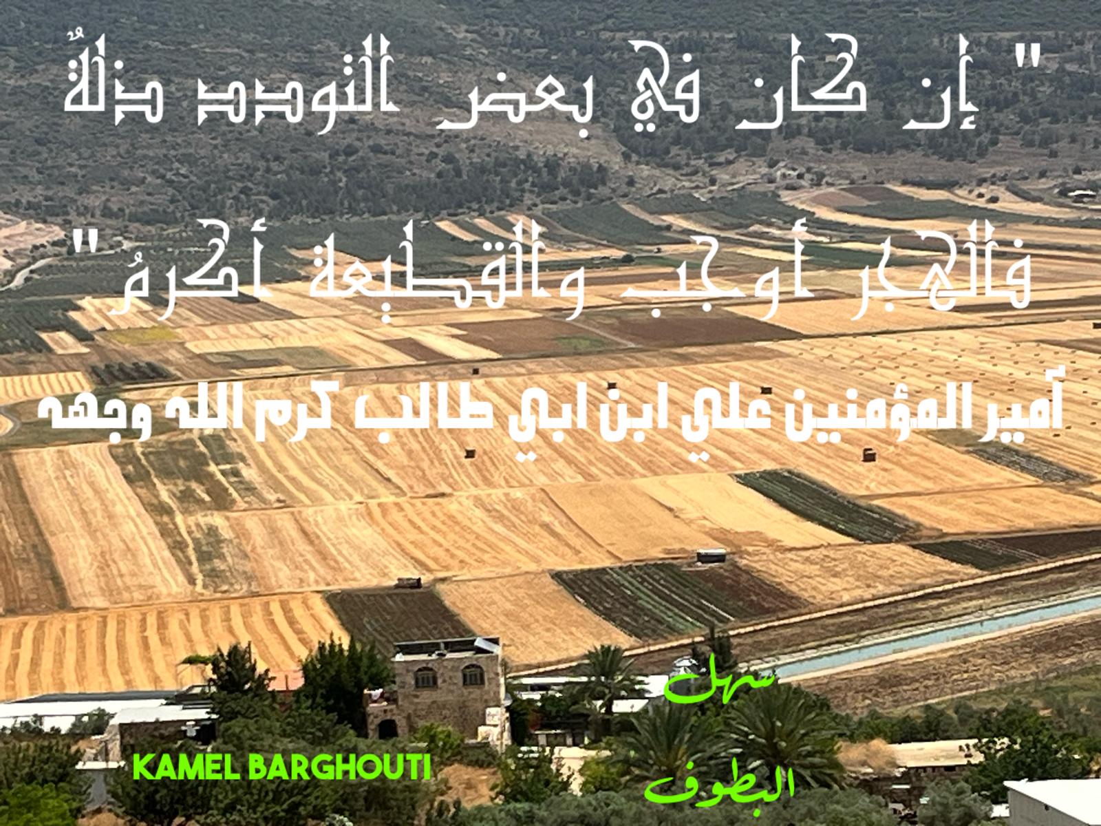 حكمة – اقتباس 347