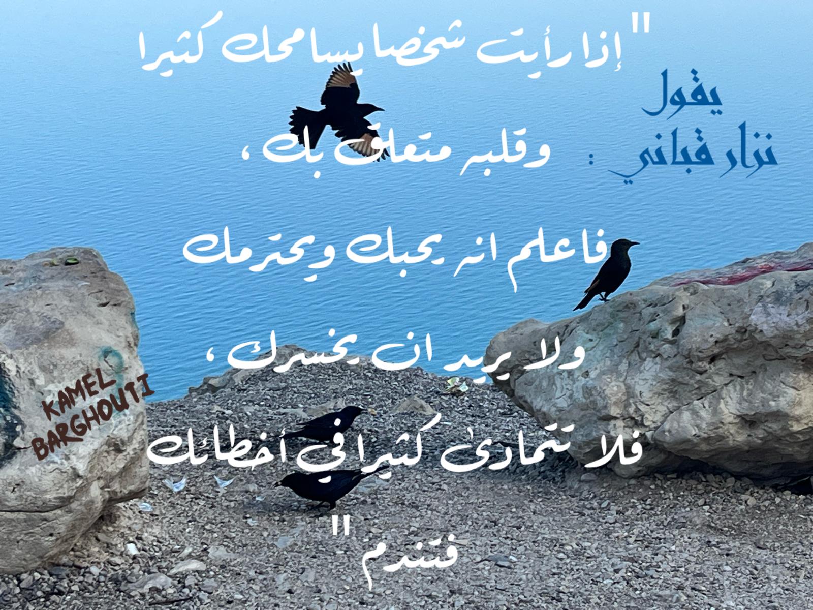 حكمة – اقتباس 351