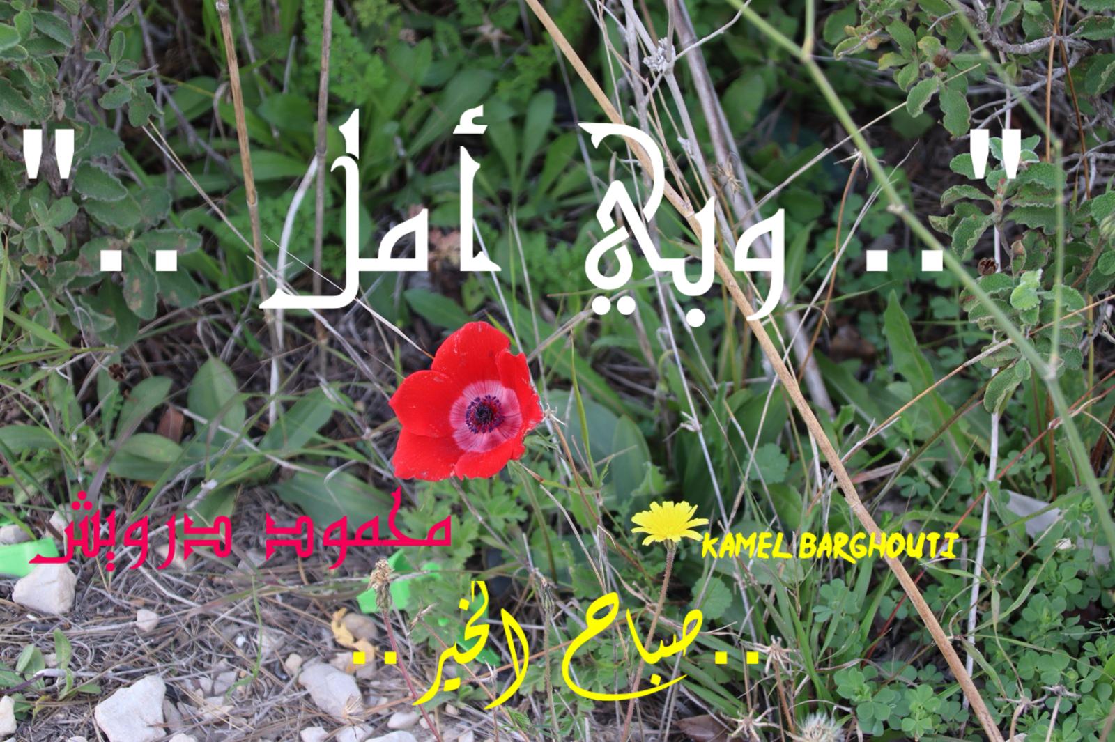 التحيات والتمنيات – اقتباس 83