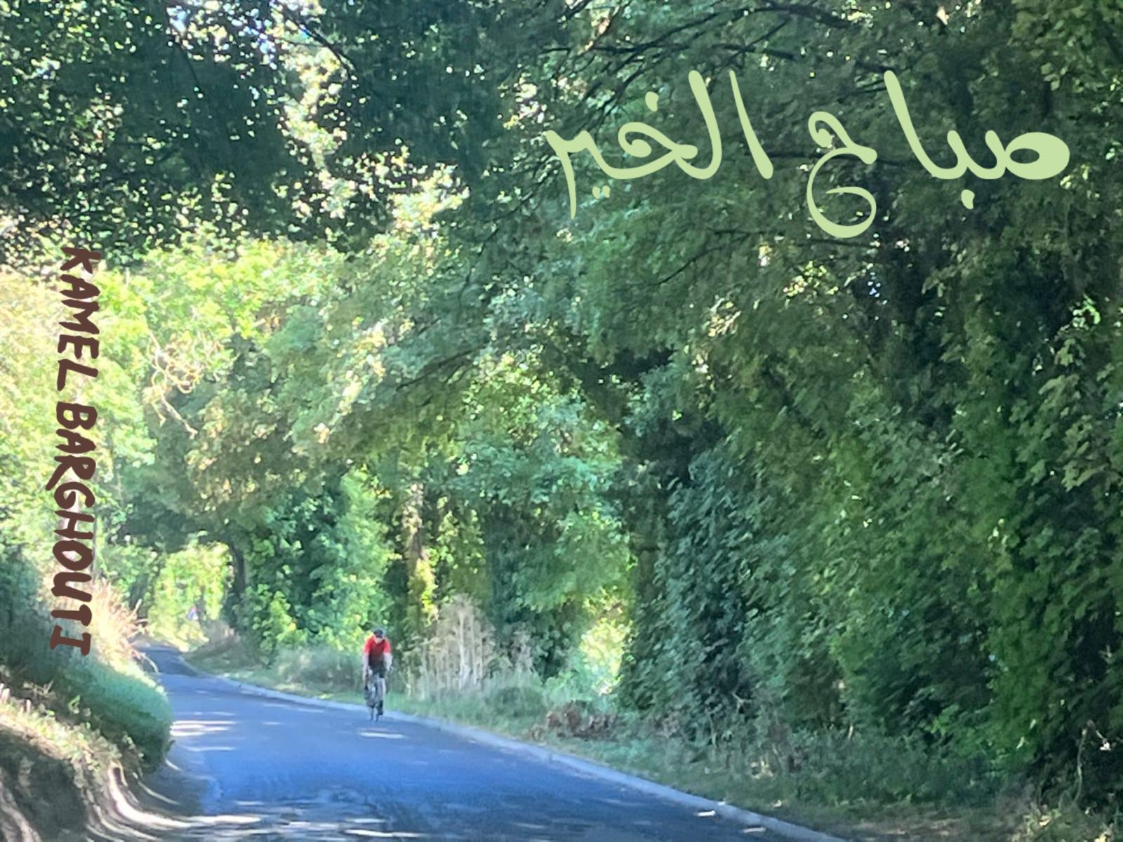 التحيات والتمنيات – اقتباس 92
