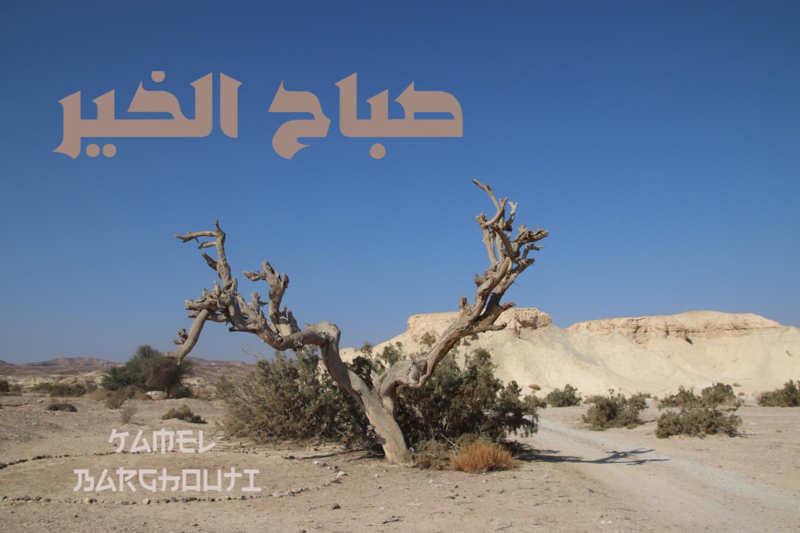 التحيات والتمنيات – اقتباس 81