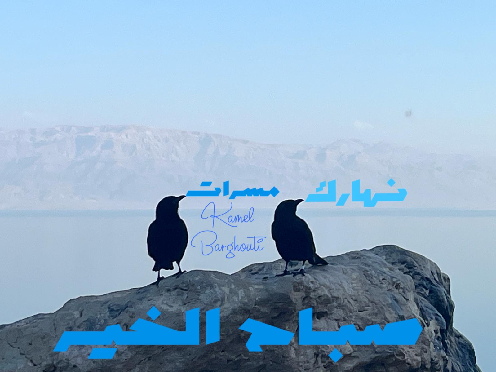 التحيات والتمنيات – اقتباس 76