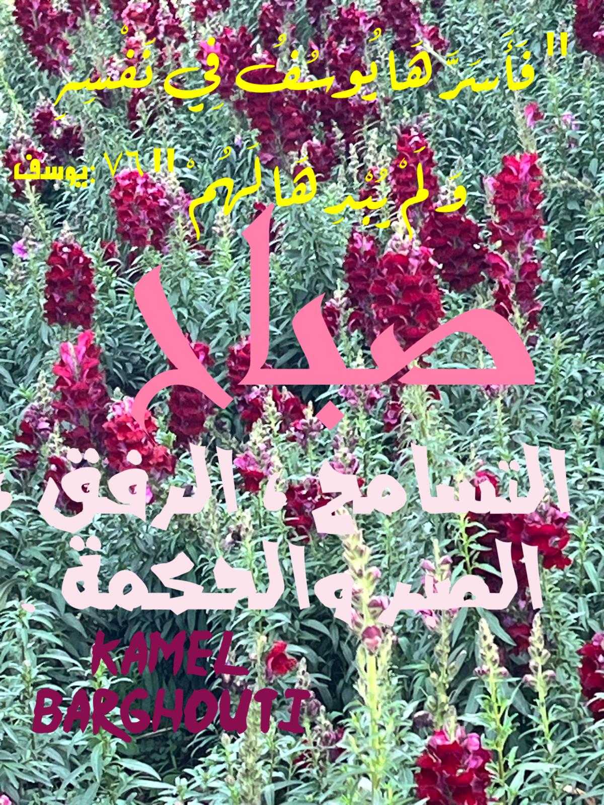 التحيات والتمنيات – اقتباس 73