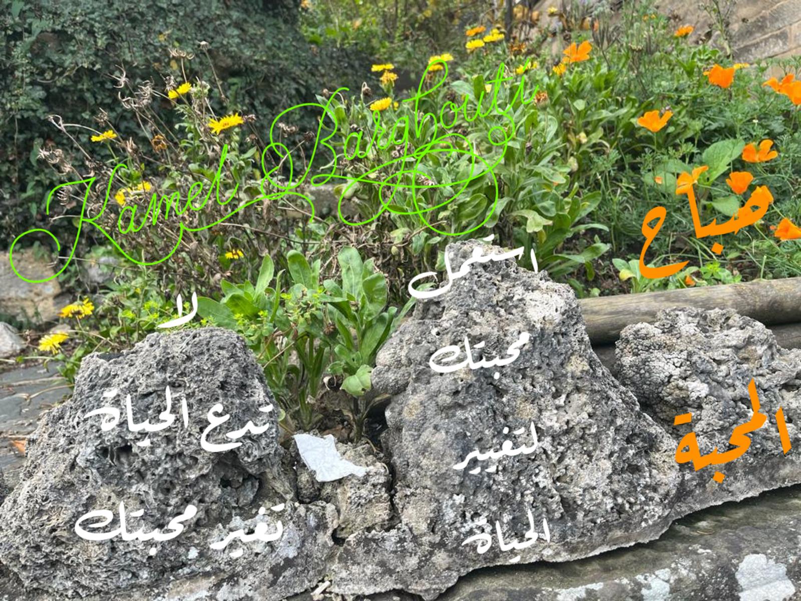 التحيات والتمنيات – اقتباس 66