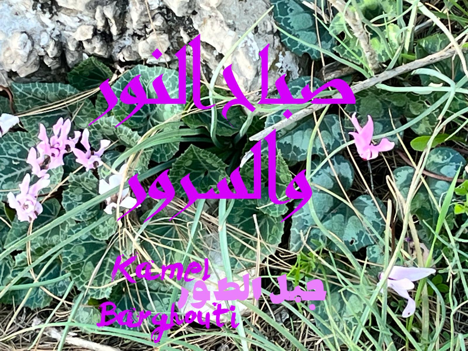 التحيات والتمنيات – اقتباس 62