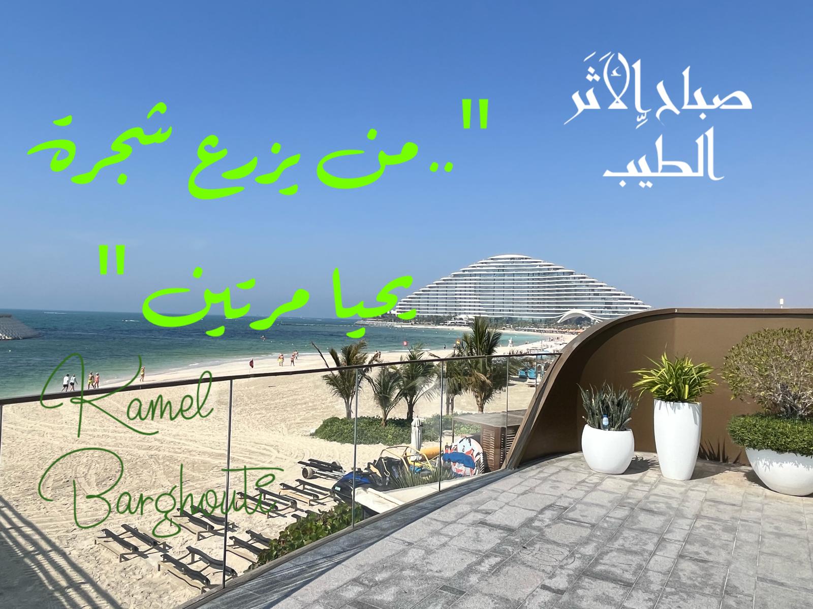 التحيات والتمنيات – اقتباس 74