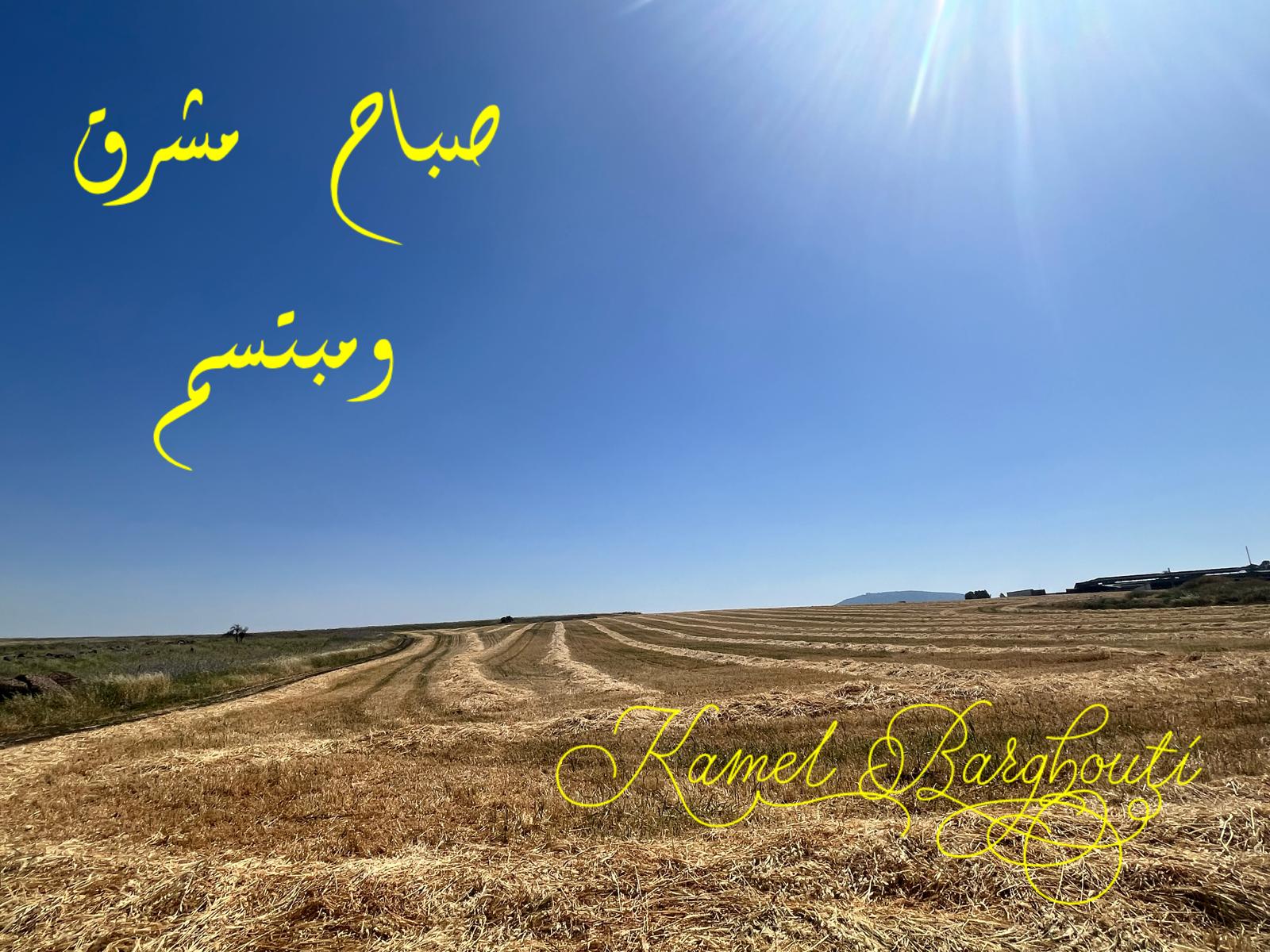 التحيات والتمنيات – اقتباس 54