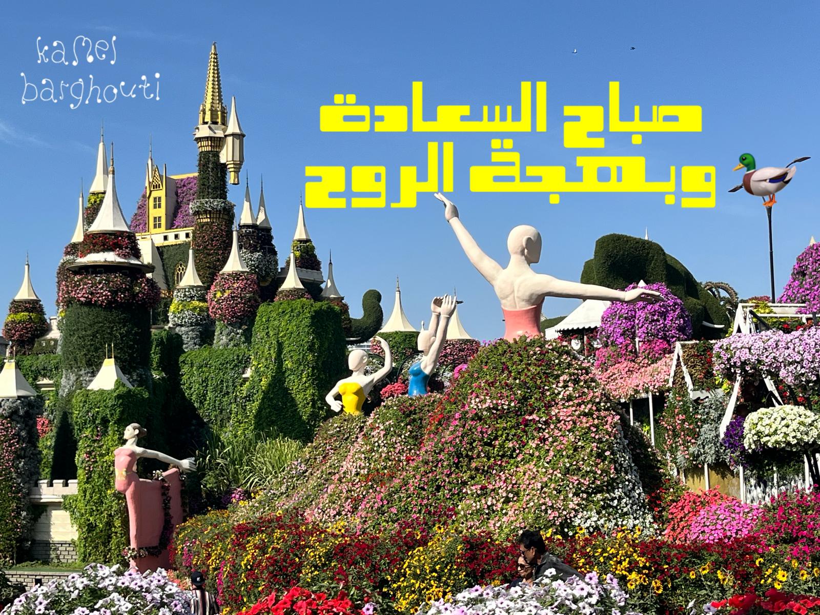 التحيات والتمنيات – اقتباس 47