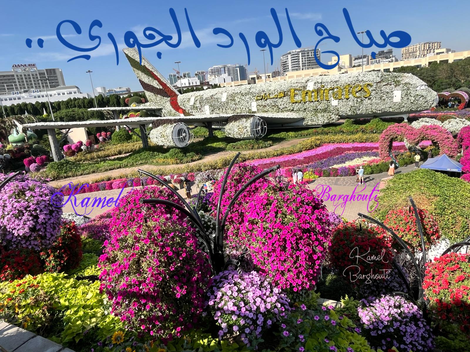 التحيات والتمنيات – اقتباس 42