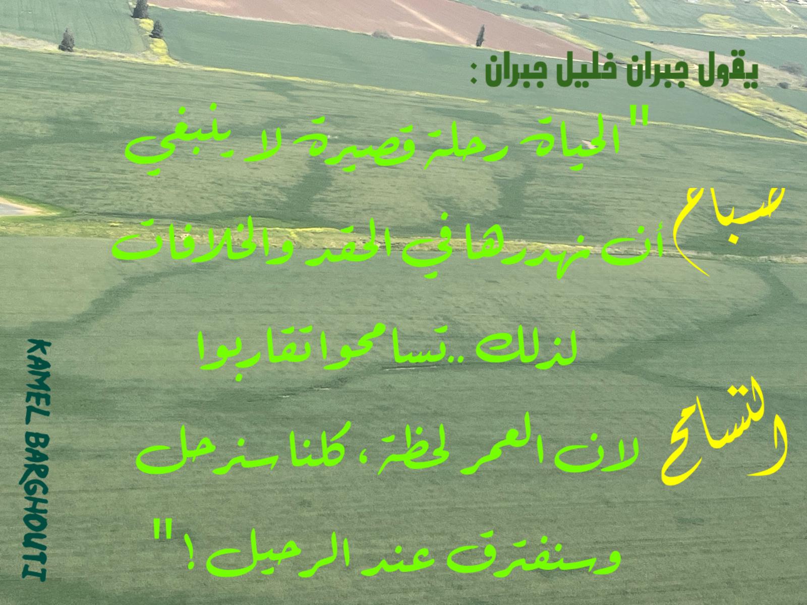 التحيات والتمنيات – اقتباس 43
