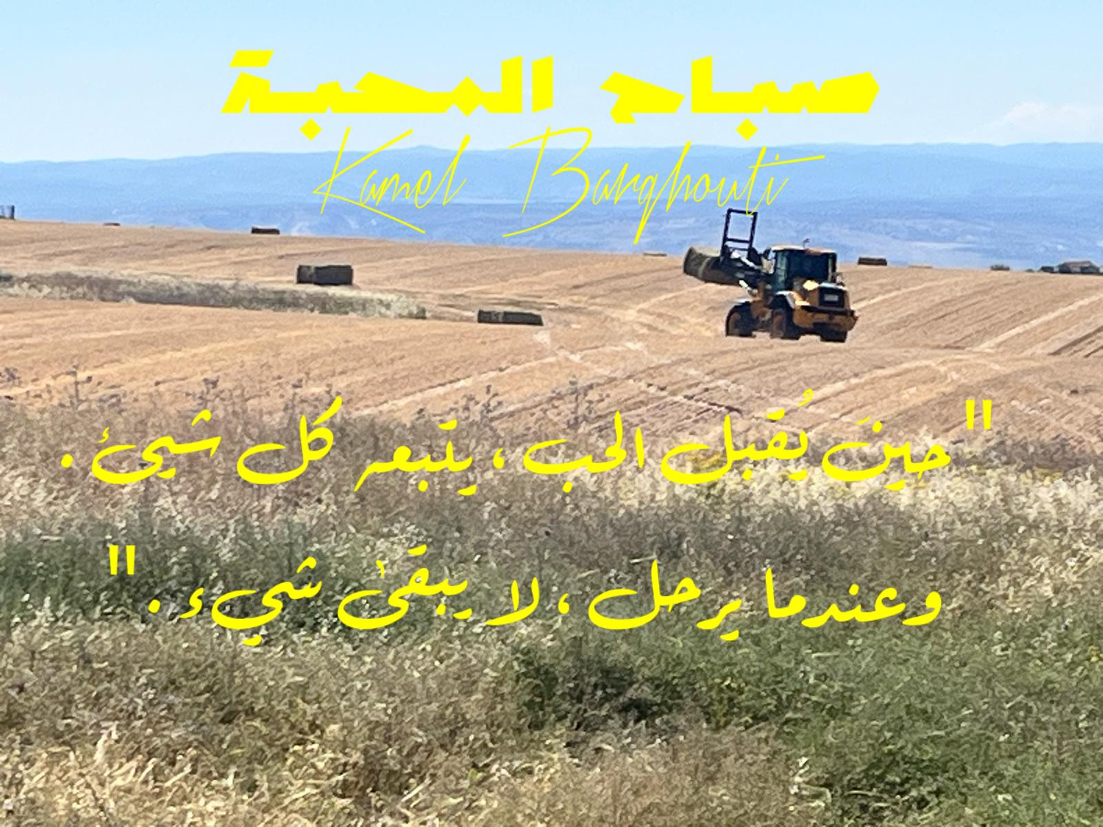 التحيات والتمنيات – اقتباس 50