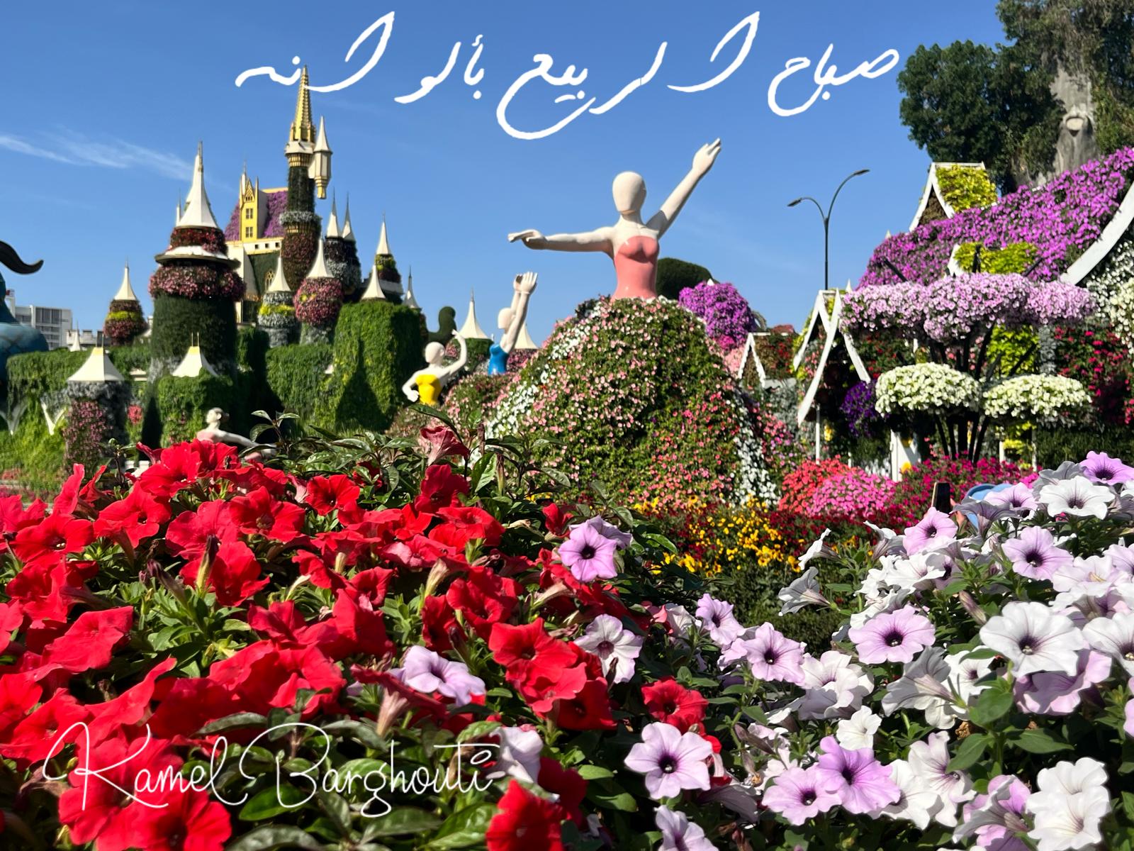 التحيات والتمنيات – اقتباس 57