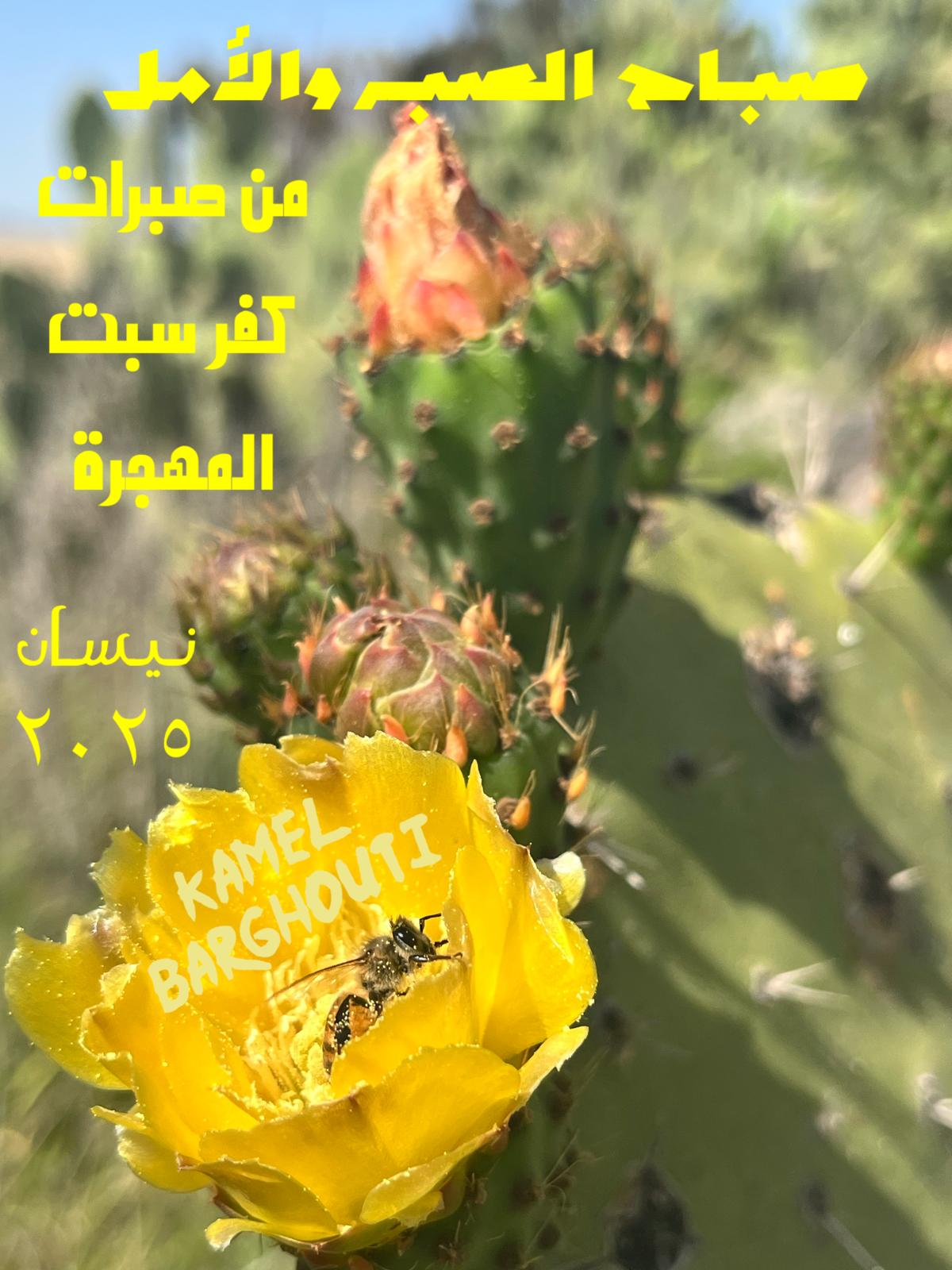 التحيات والتمنيات – اقتباس 55