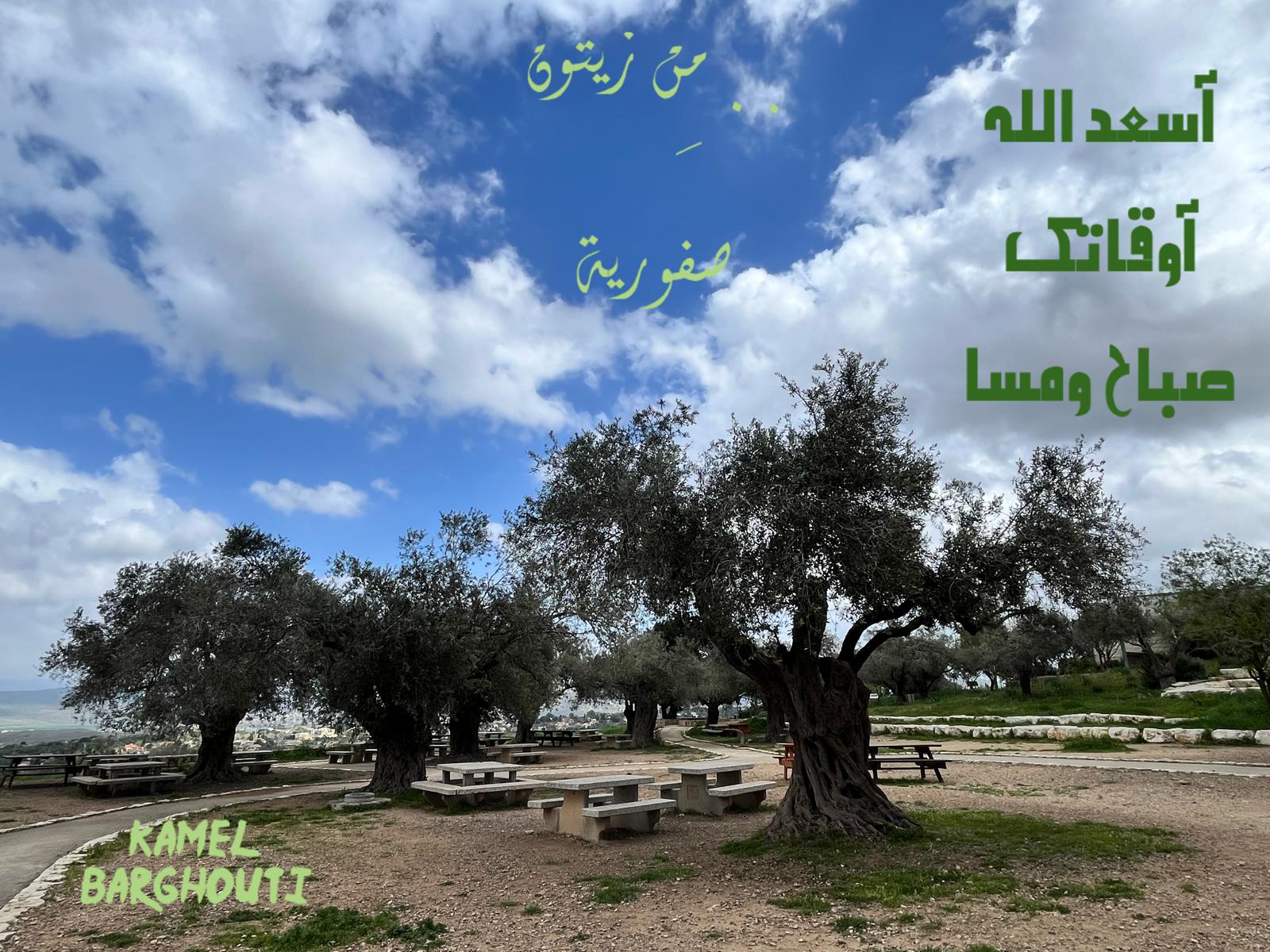 صباح الخير – اقتباس 134