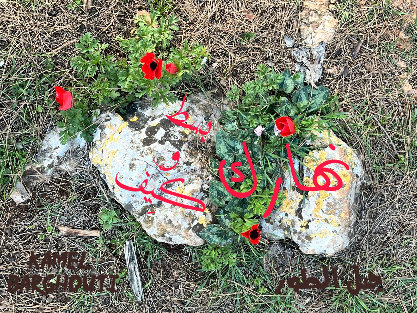 صباح الخير – اقتباس 133