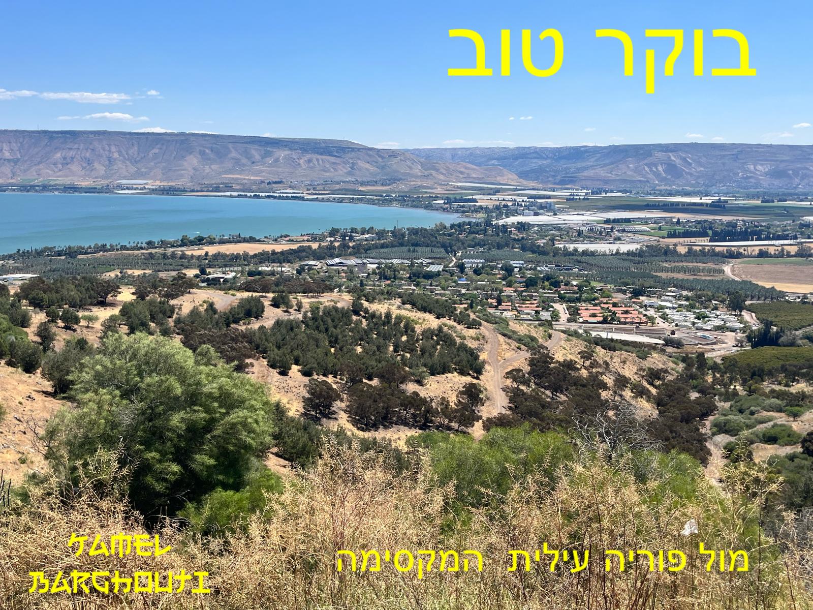 العبرية والأنجليزية – اقتباس 41