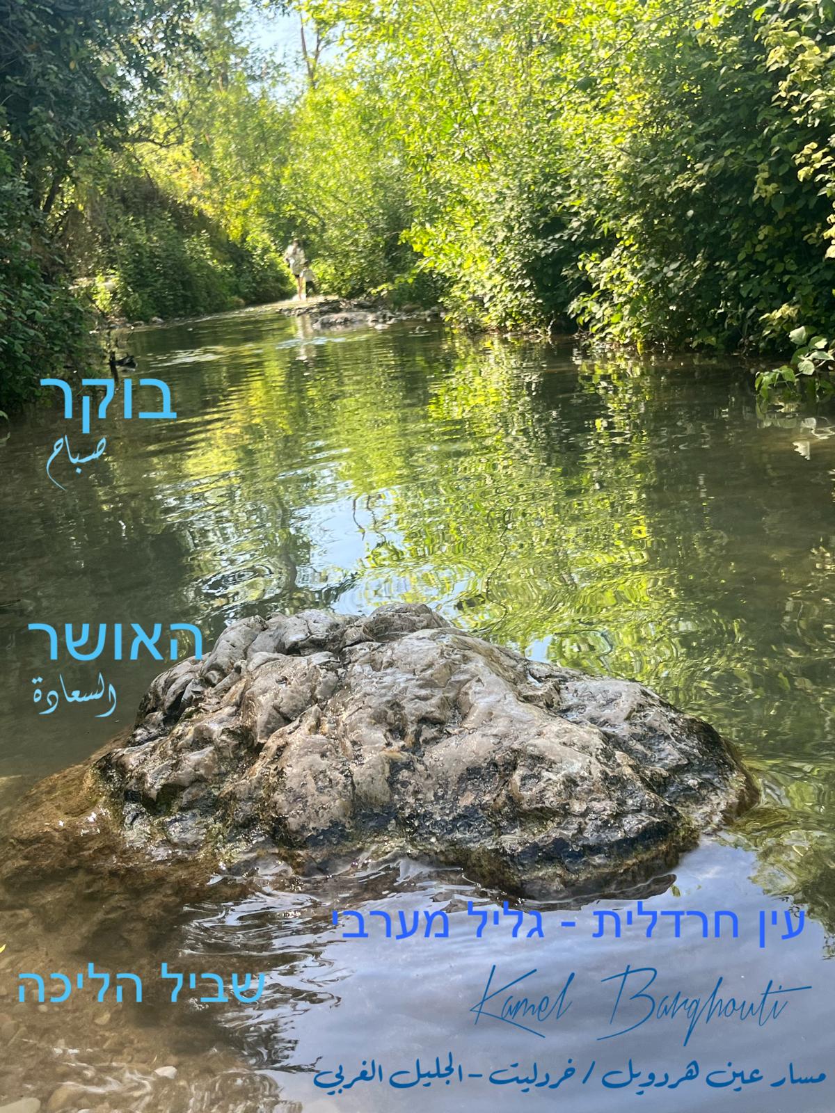 العبرية والأنجليزية – اقتباس 37