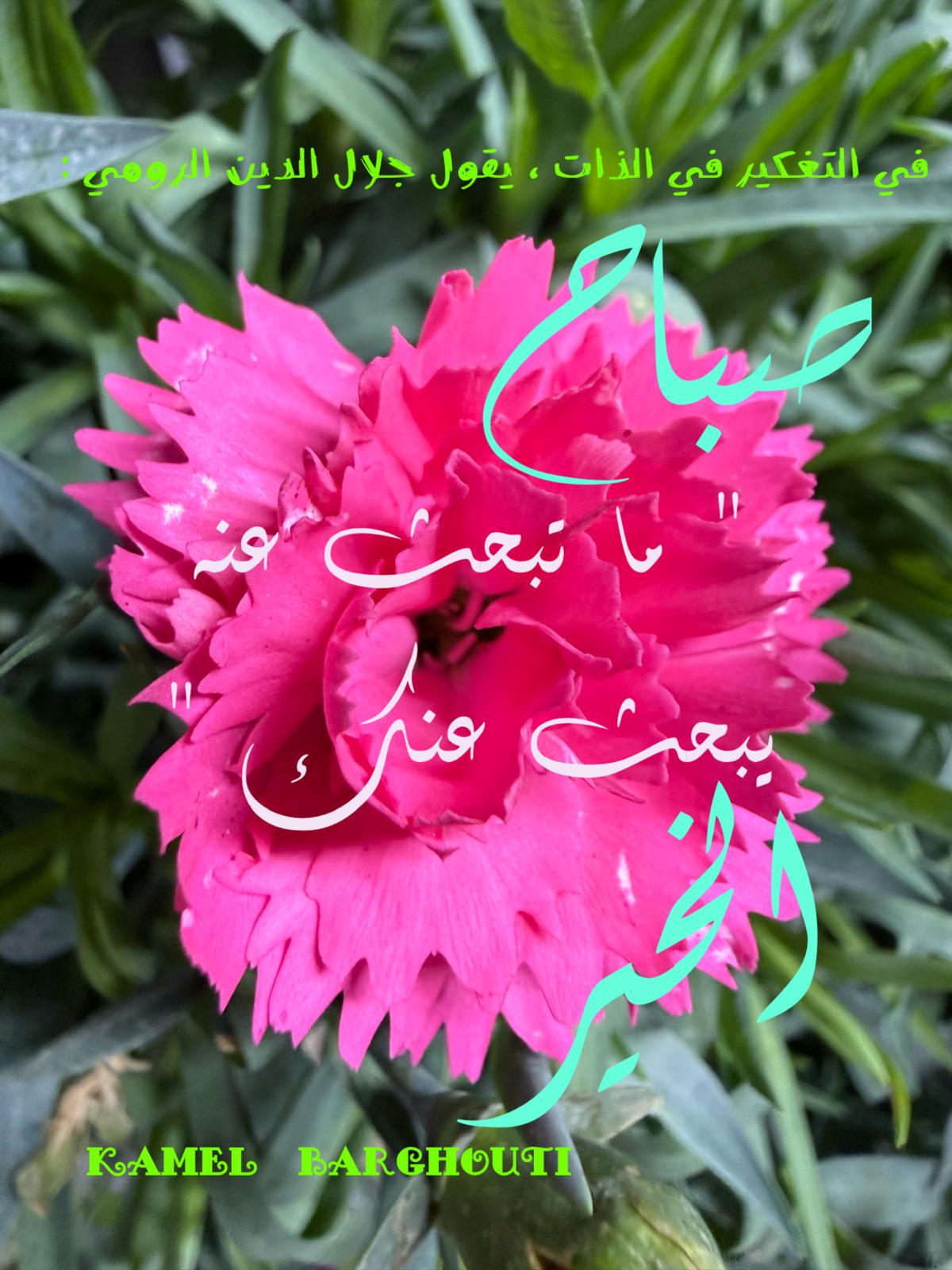 صباح الخير – اقتباس 128