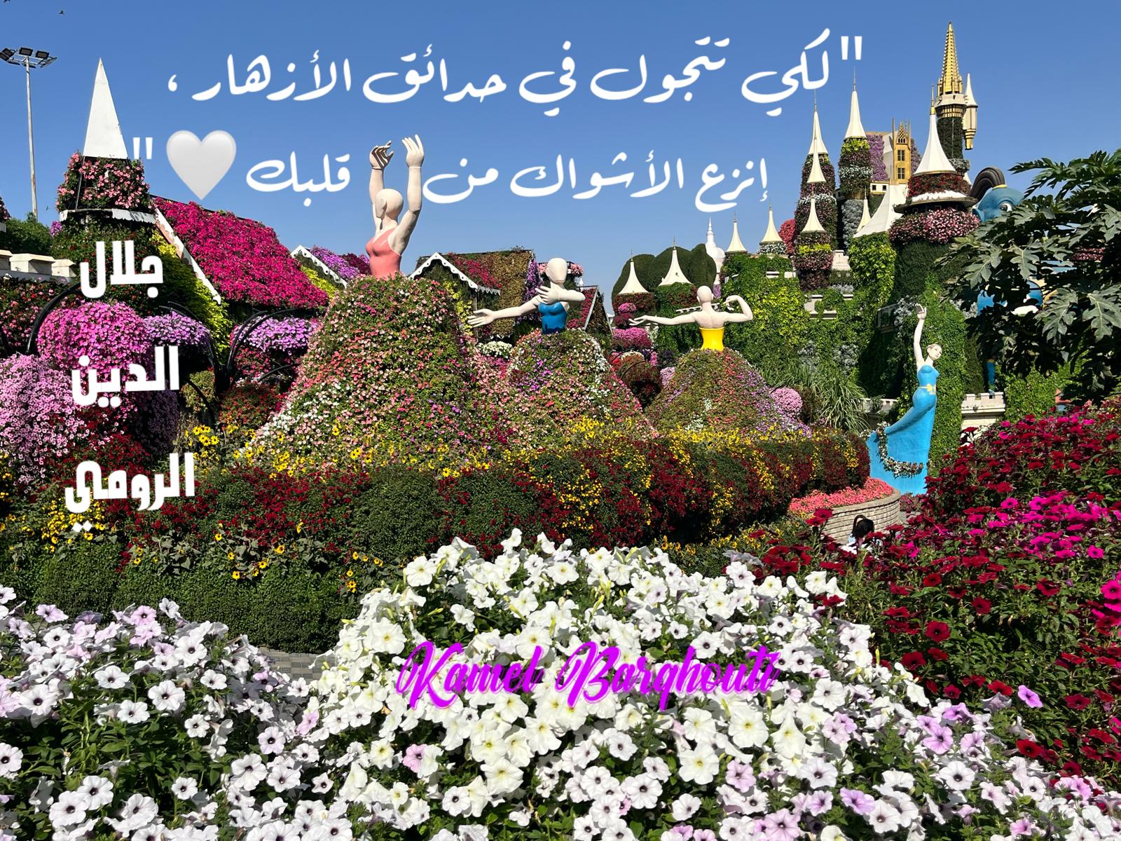 حكمة – اقتباس 340
