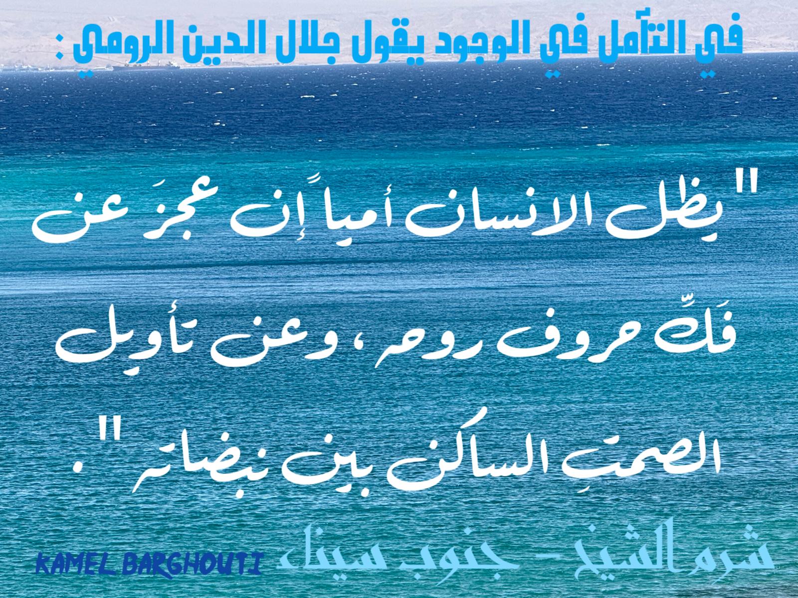 حكمة – اقتباس 343