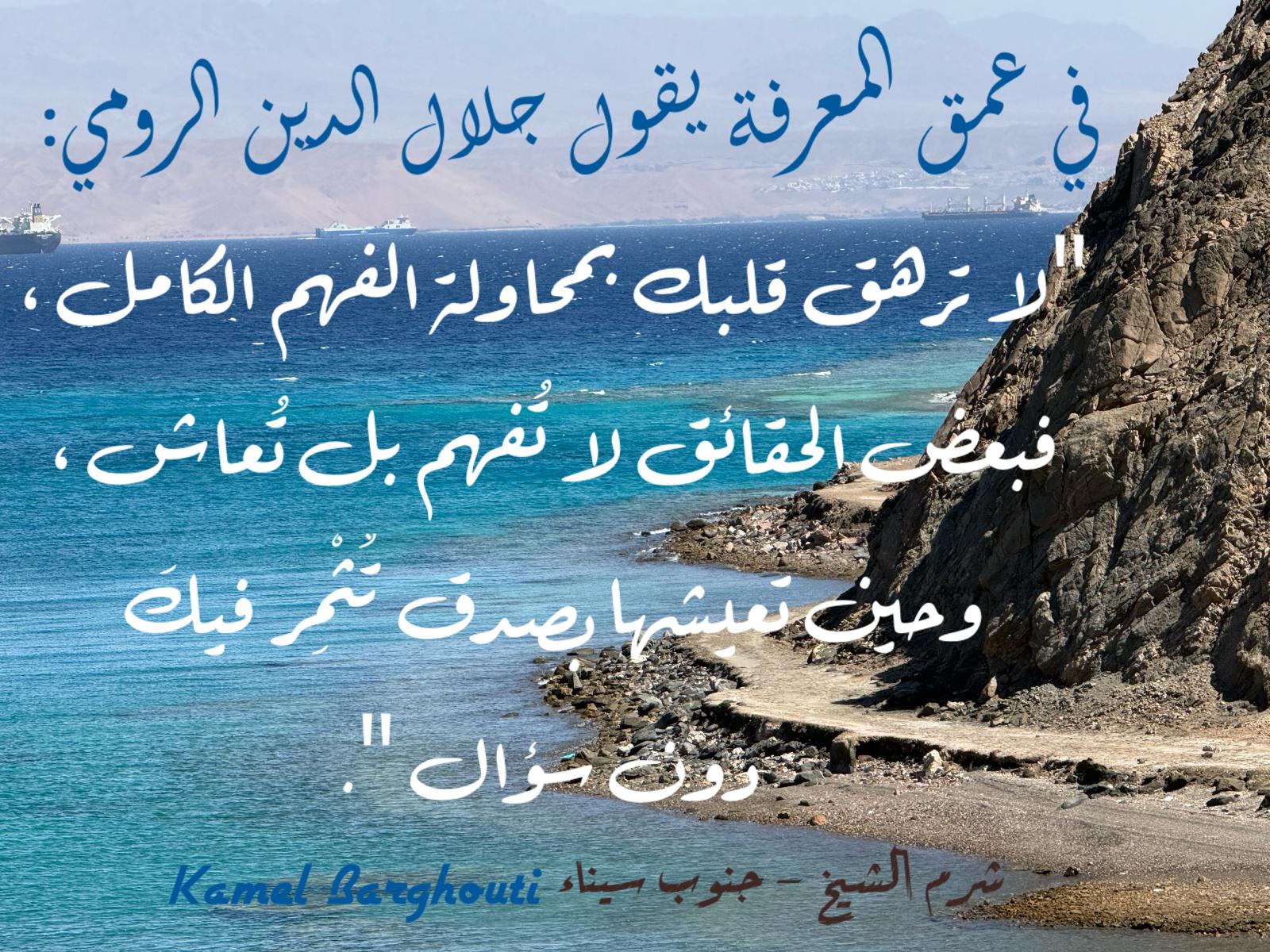 حكمة – اقتباس 345
