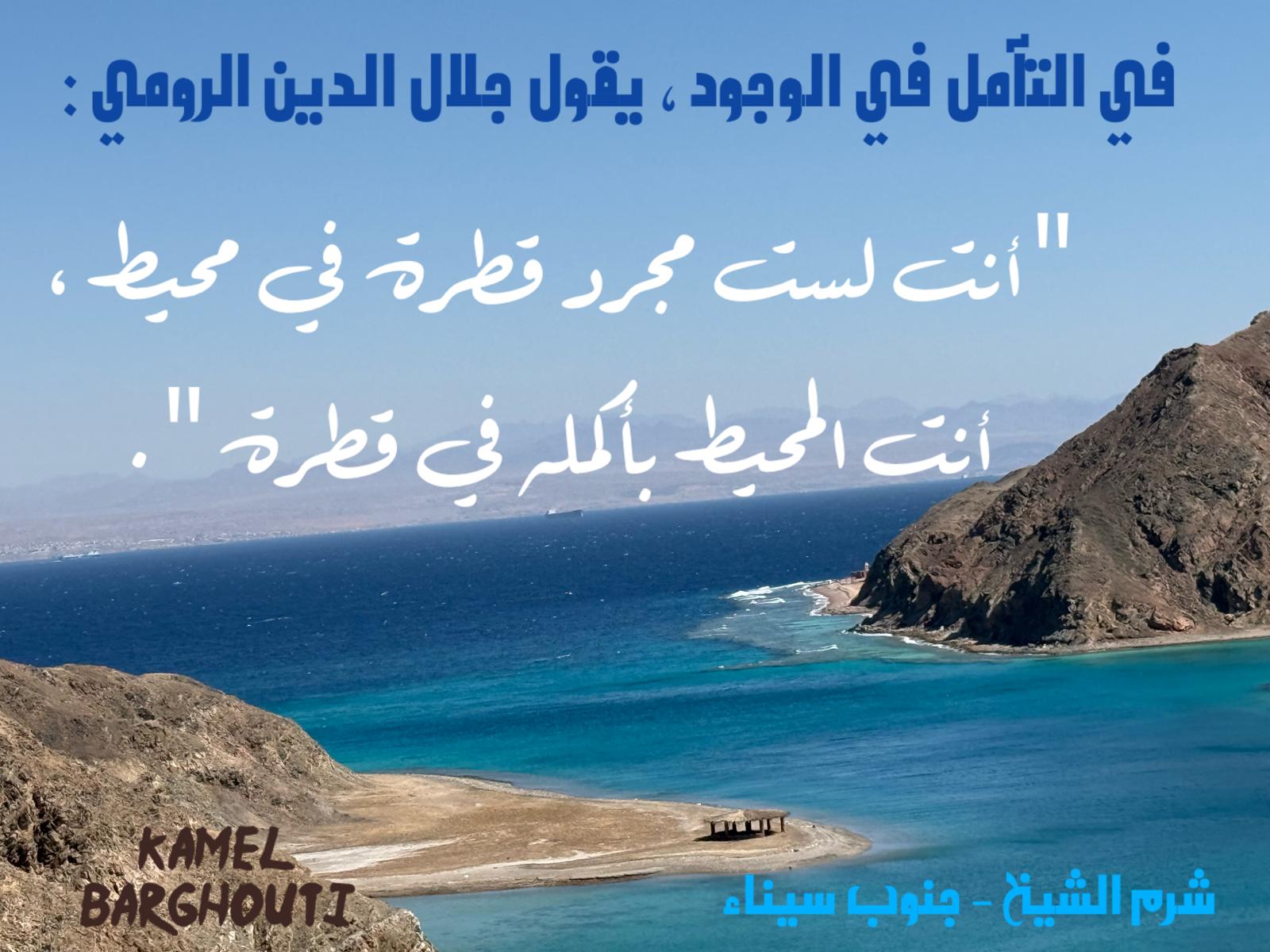 حكمة – اقتباس 344
